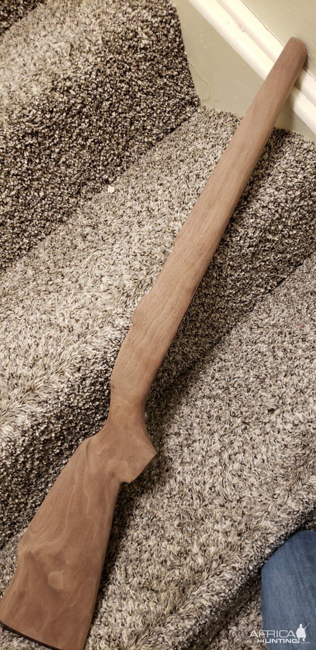 Gun Stock