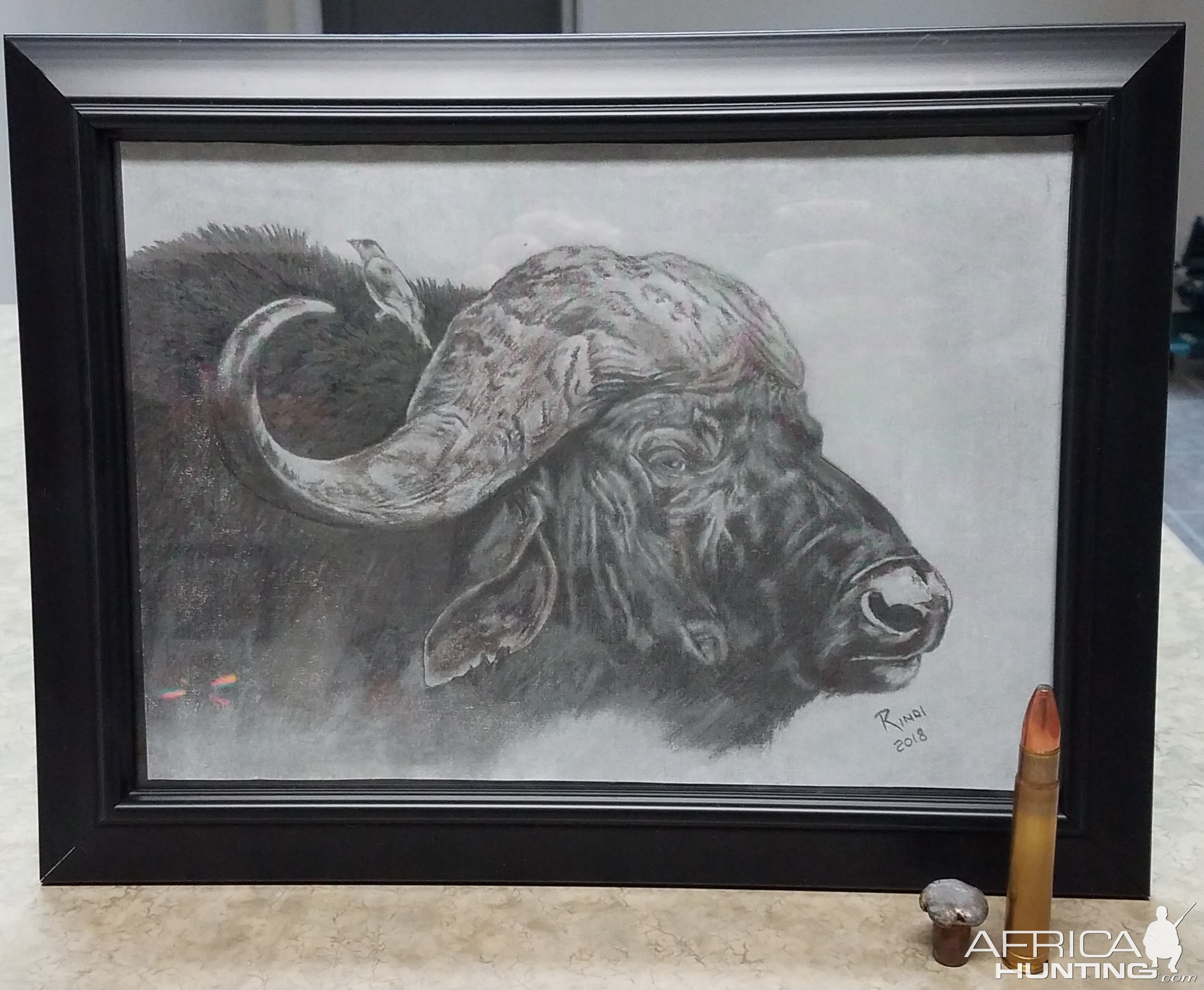 Hand drawn picture of a Cape Buffalo done in pencil, by Rindi Odendal