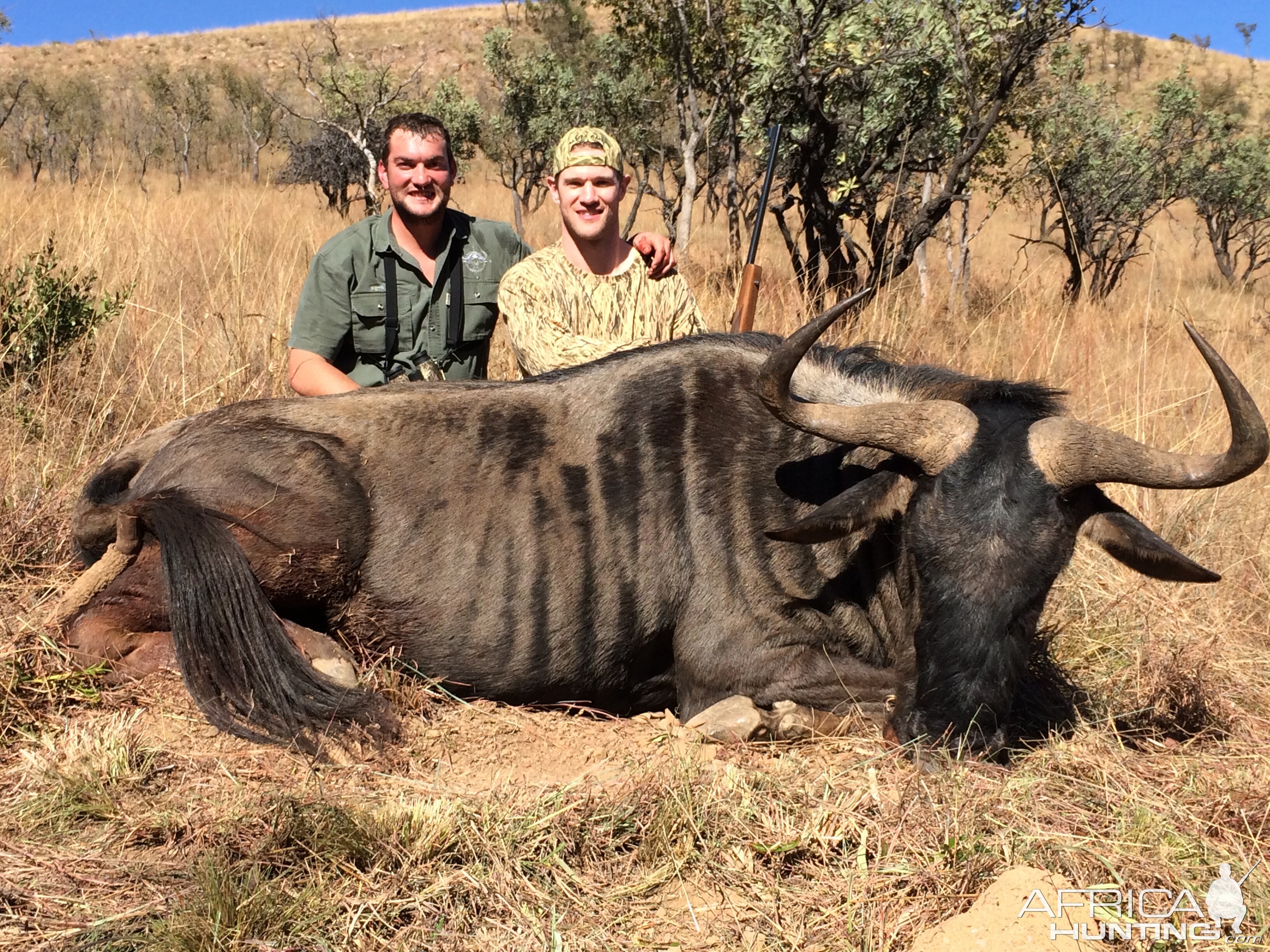 Happy Client with Blue Wildebeest