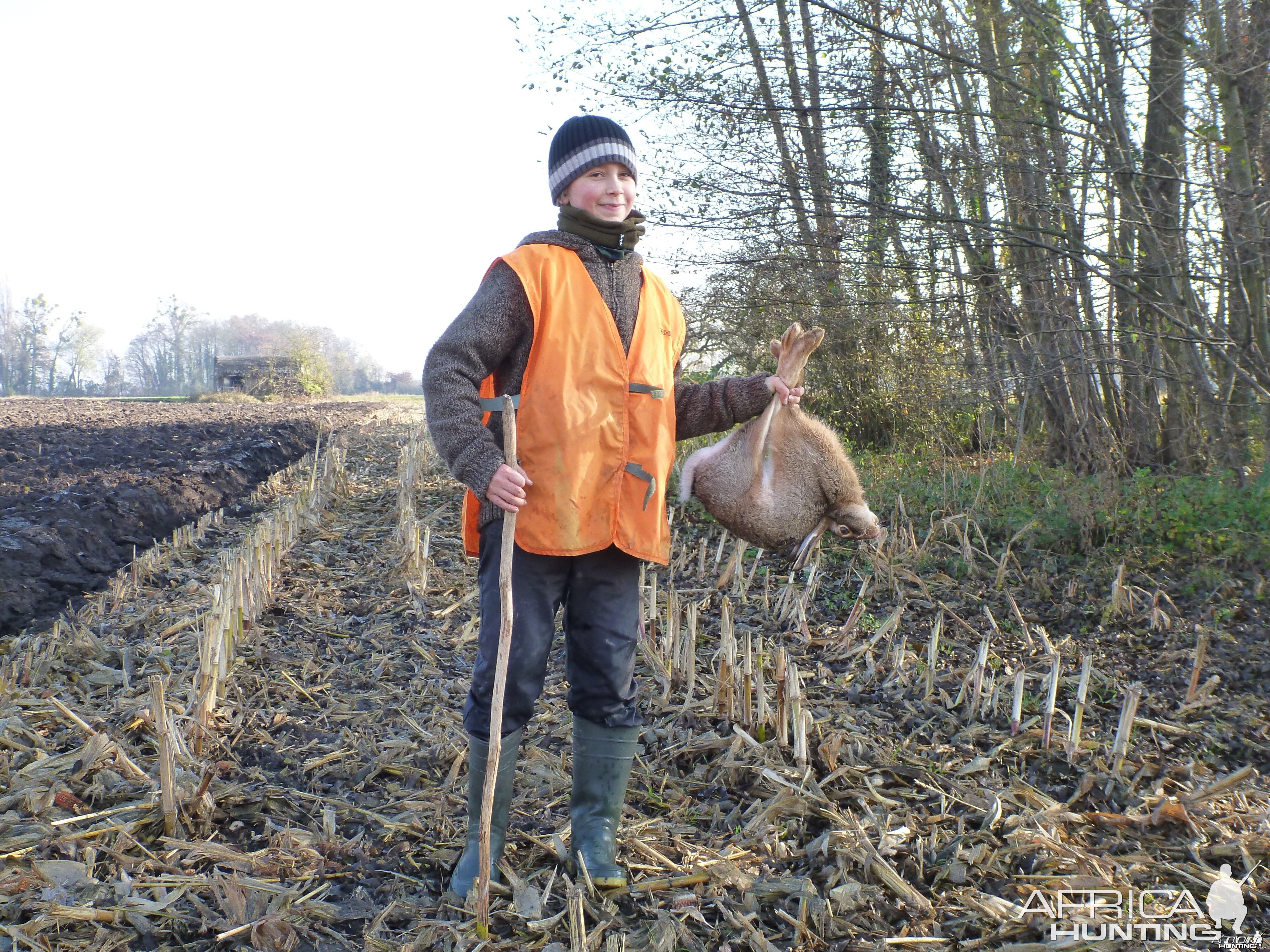 Hare Hunting in France