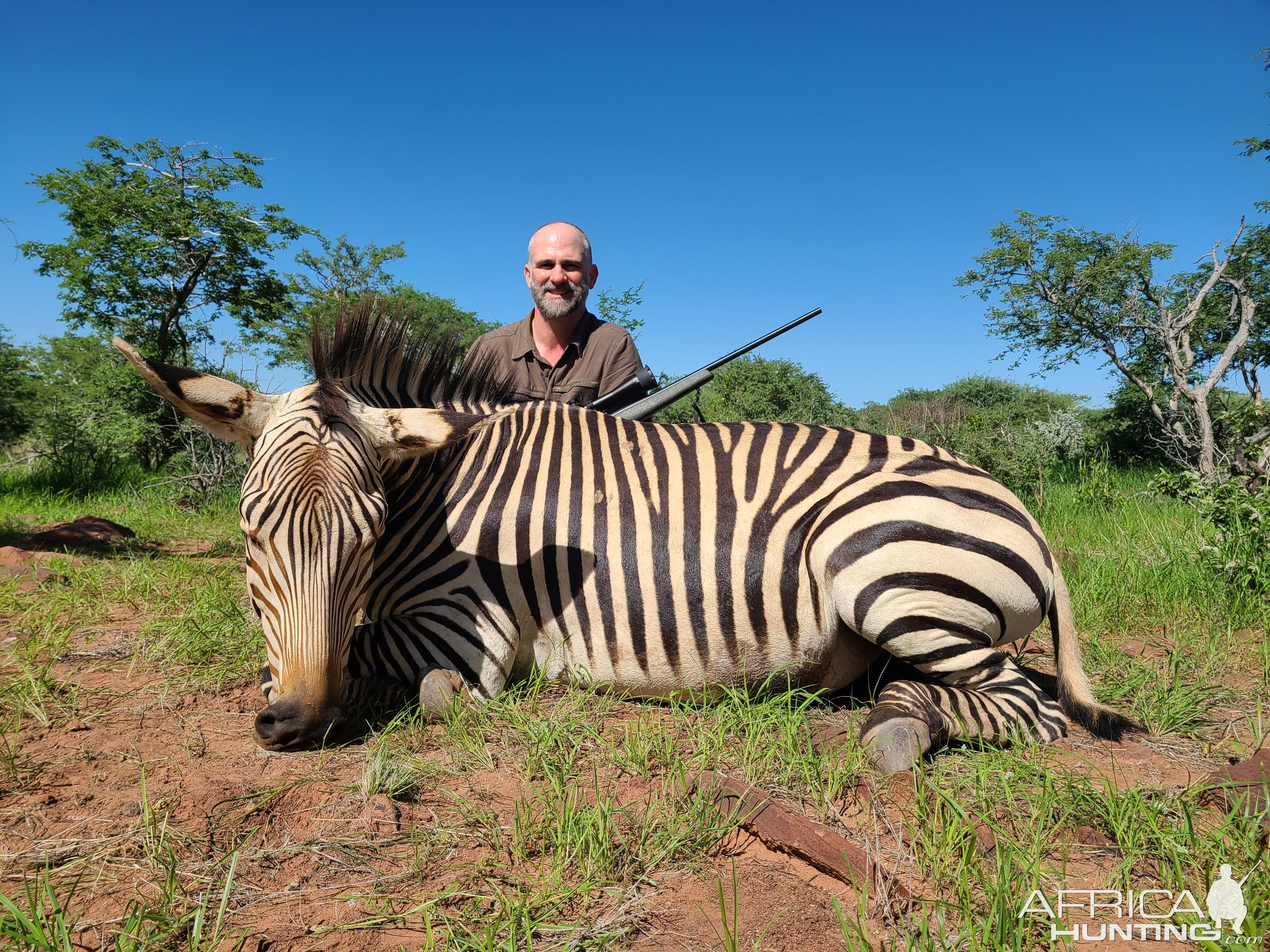 Harmann's Zebra Hunting Namibia