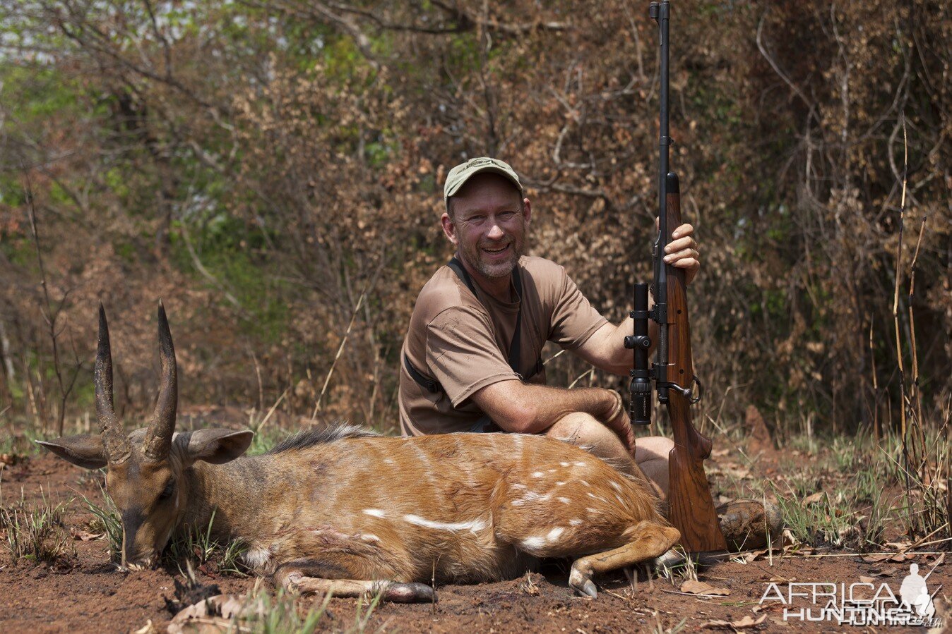 Harnessed Bushbuck hunted in CAR