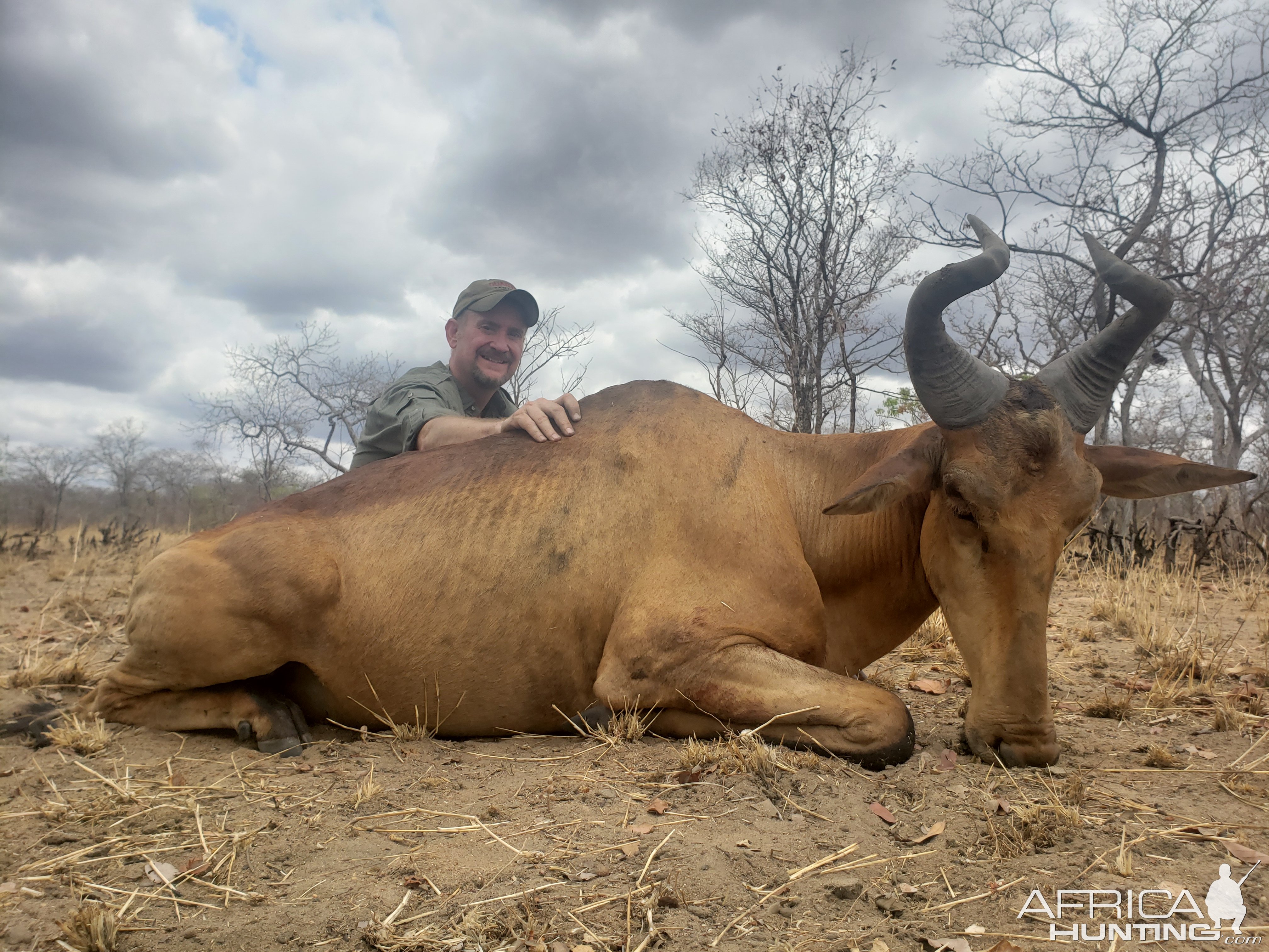 Hartebeest Hunt Mozambique