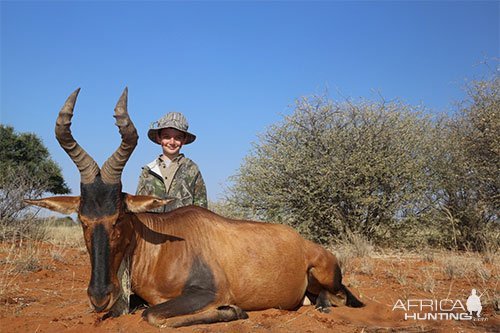 Hartebeest Hunt Namibia
