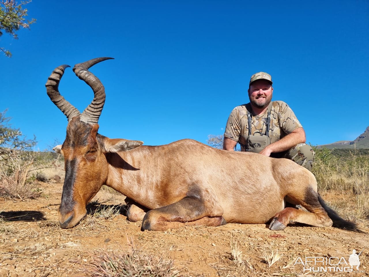 Hartebeest Hunt South Africa