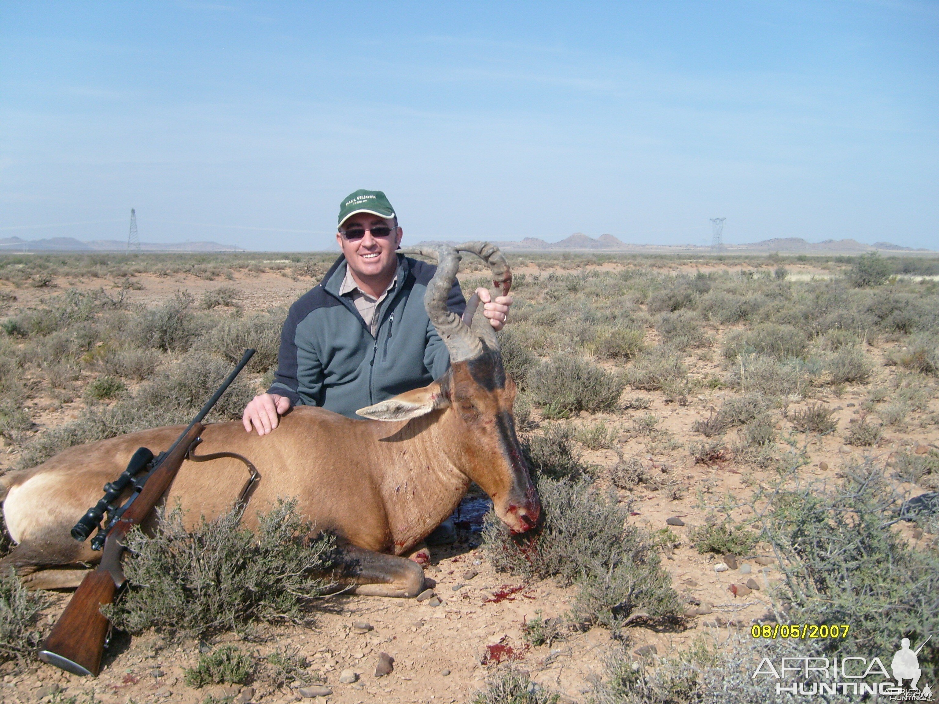 Hartebeest Hunted in the Richmond, South Africa