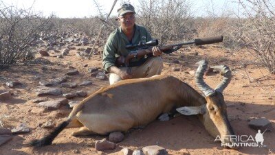 Hartebeest Namibia