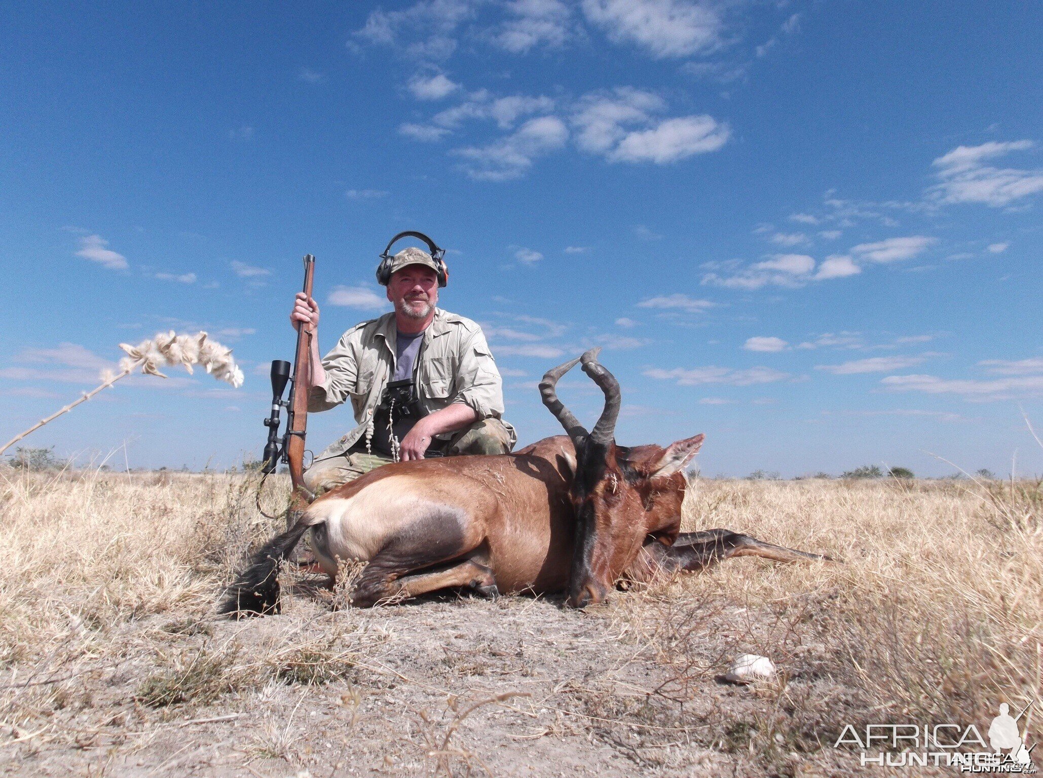 Hartebeest taken near Hochfeld Namibia