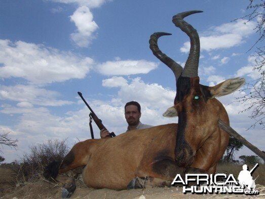 Hartebeest