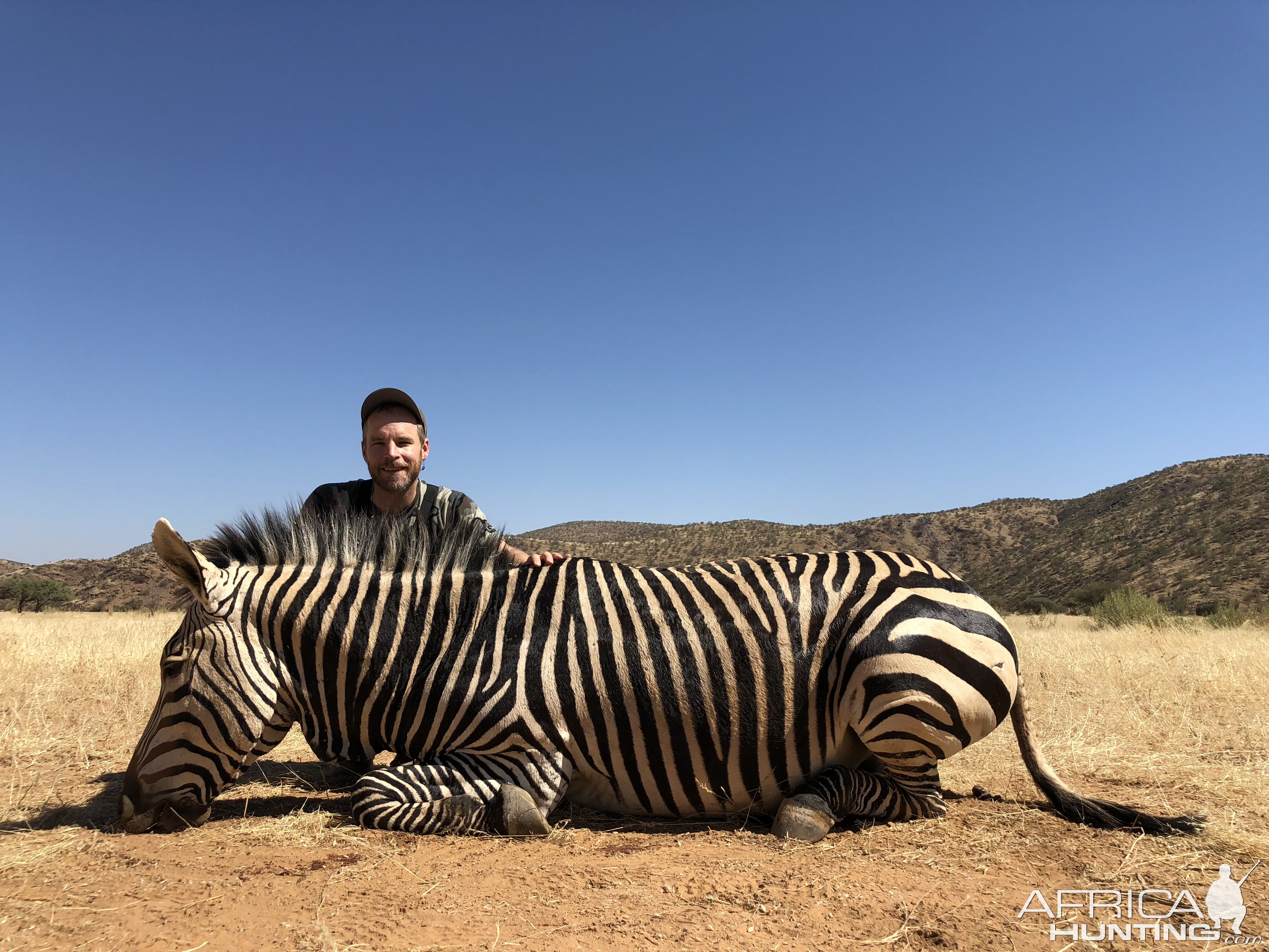 Hartmann’s Mountain Zebra Hunt Kaokoland Namibia