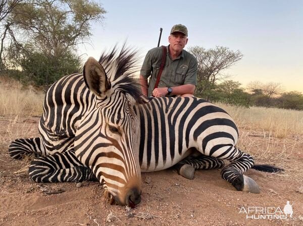 Hartmann’s Mountain Zebra Hunting Namibia