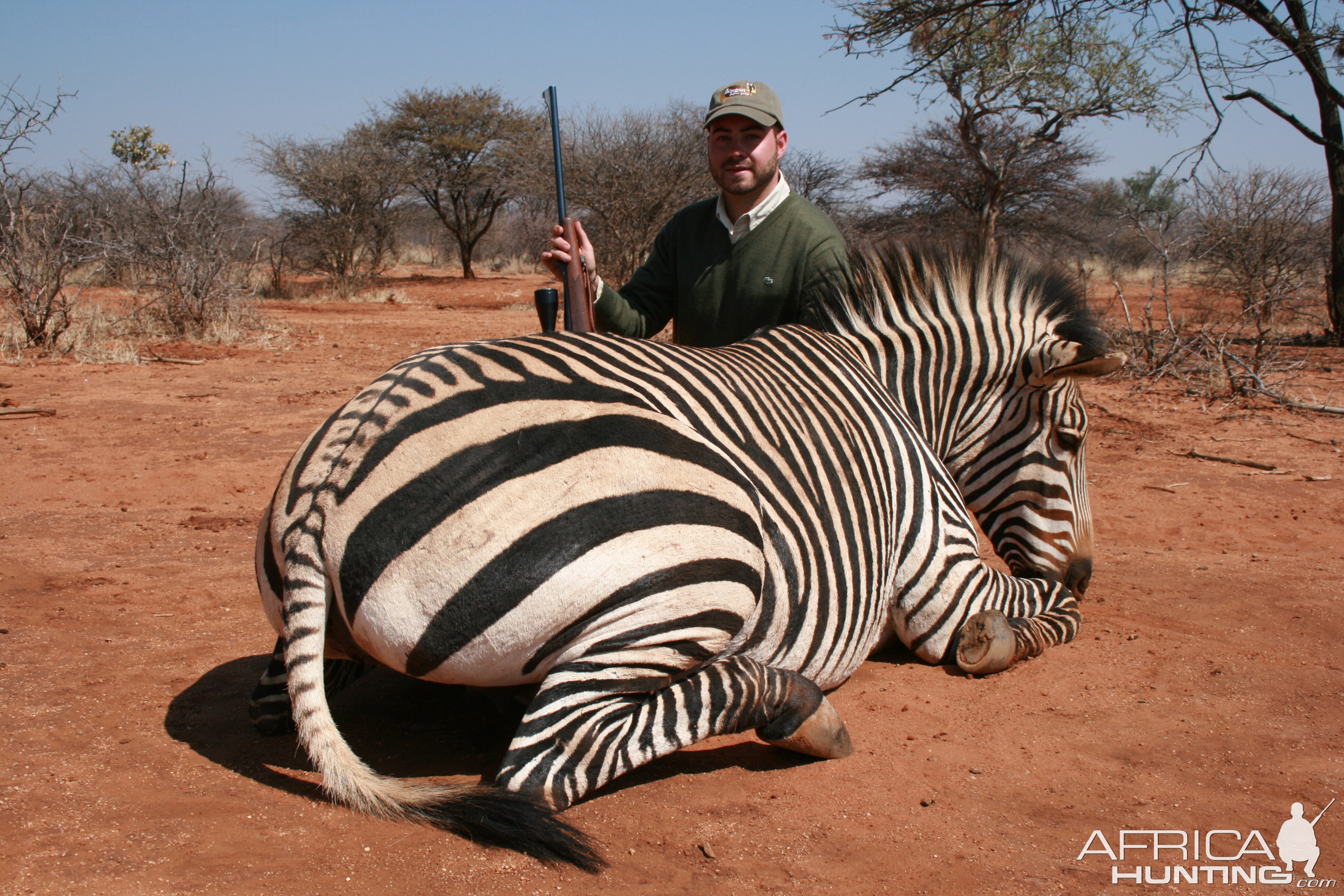 Hartmann Zebra, Namibia