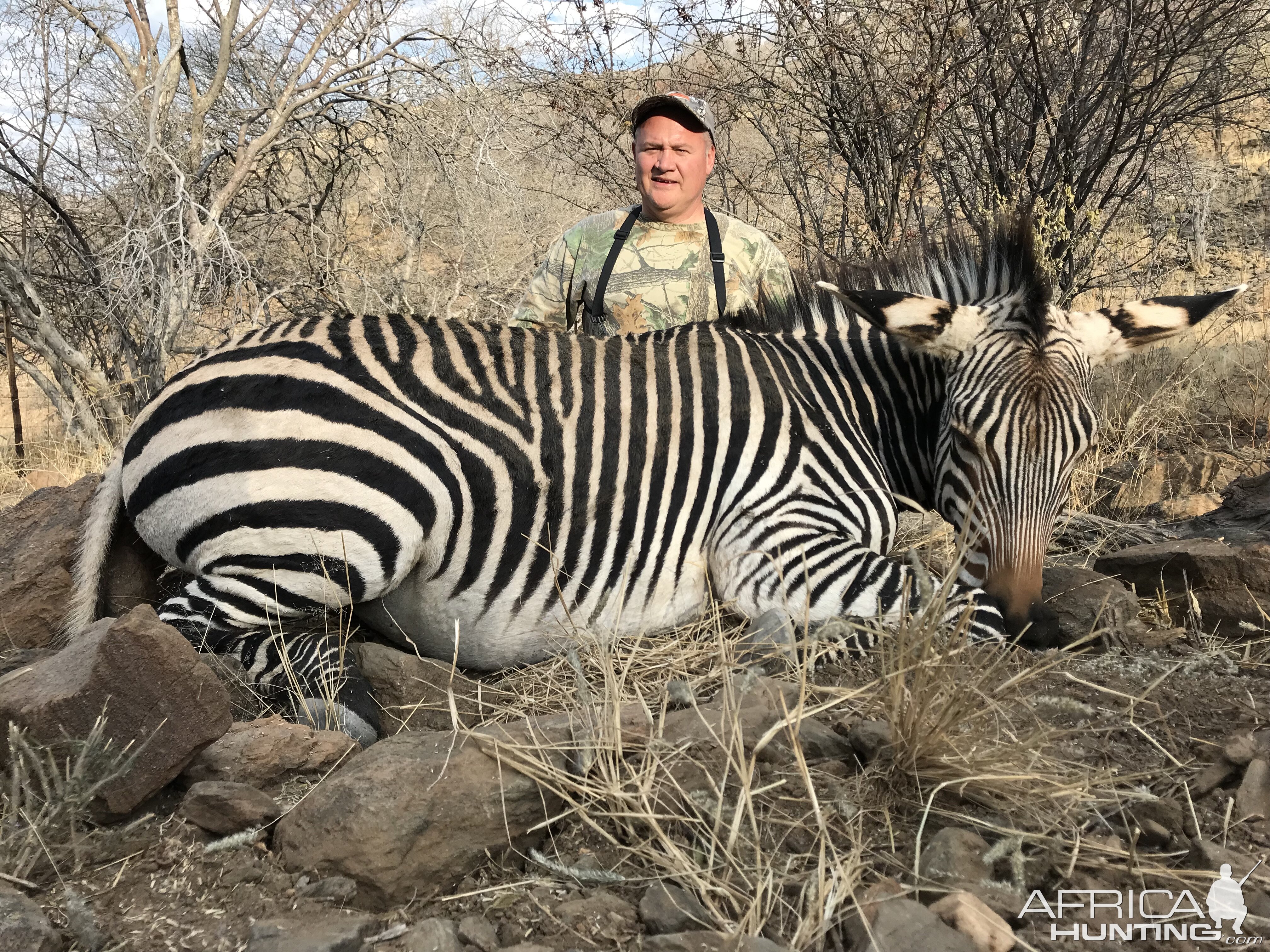 Hartmann's Mountain Zebra Bow Hunt Namibia
