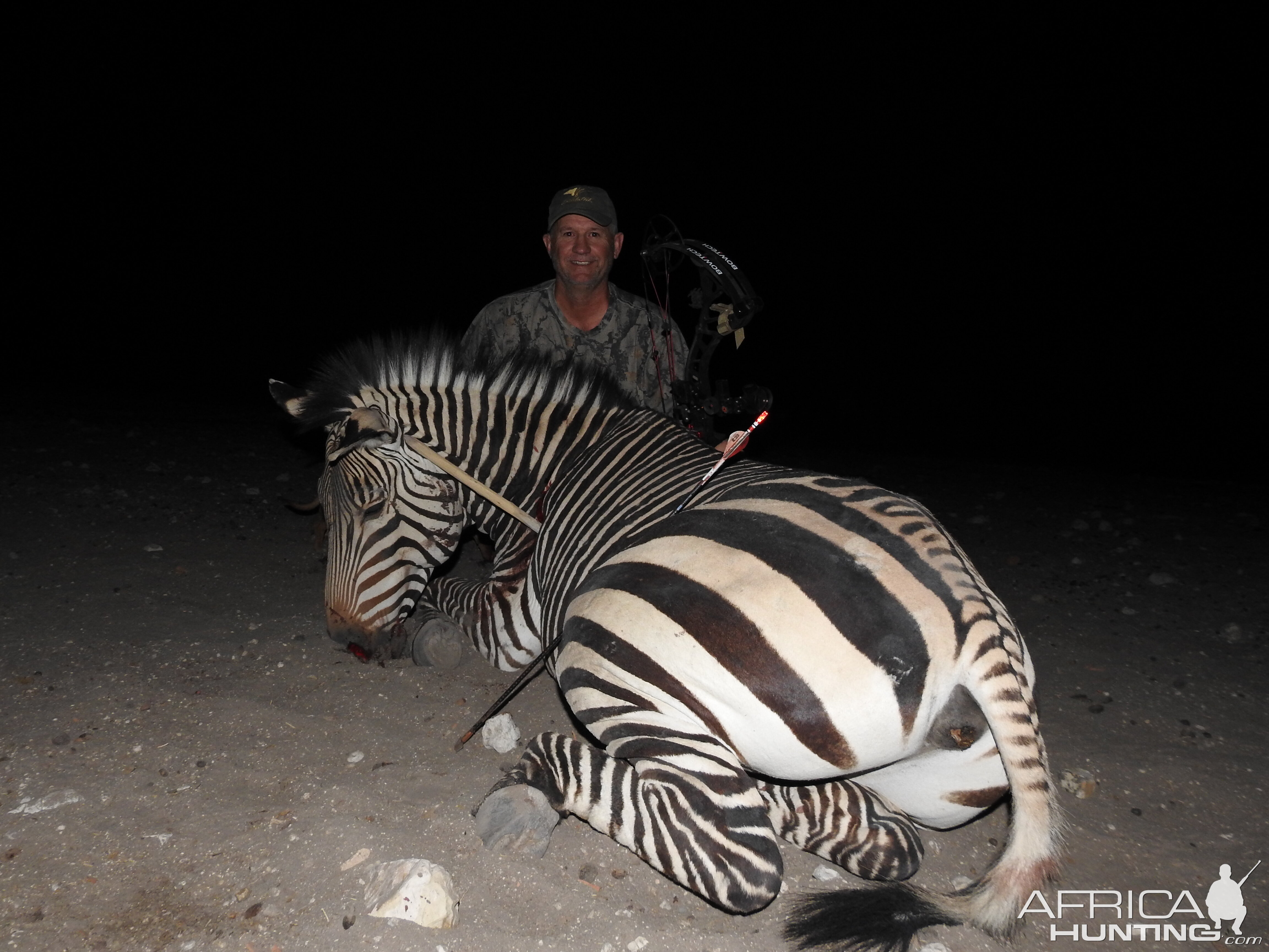 Hartmann's Mountain Zebra Bow Hunting Namibia