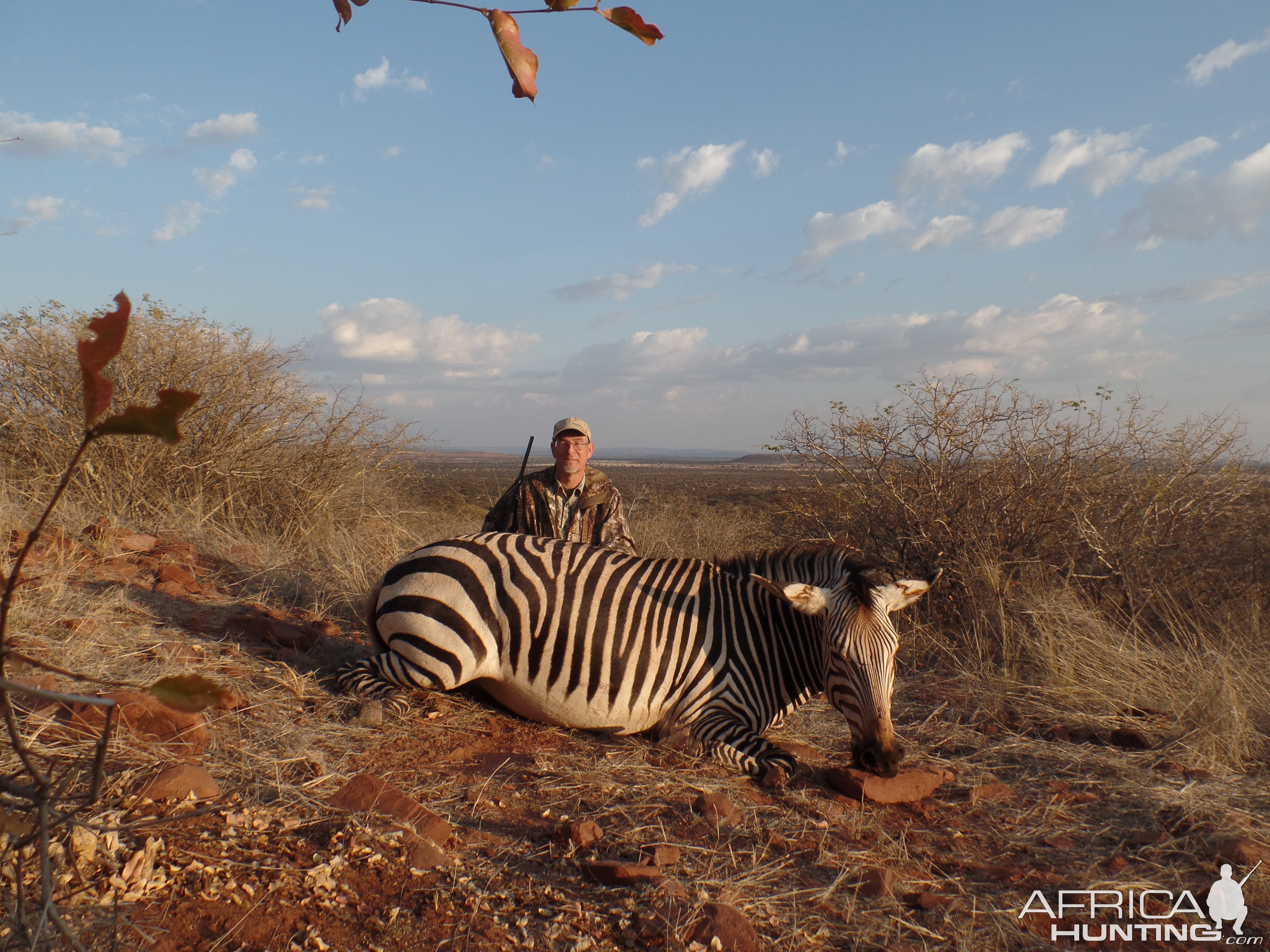 Hartmann's Mountain Zebra Hunt Namibia