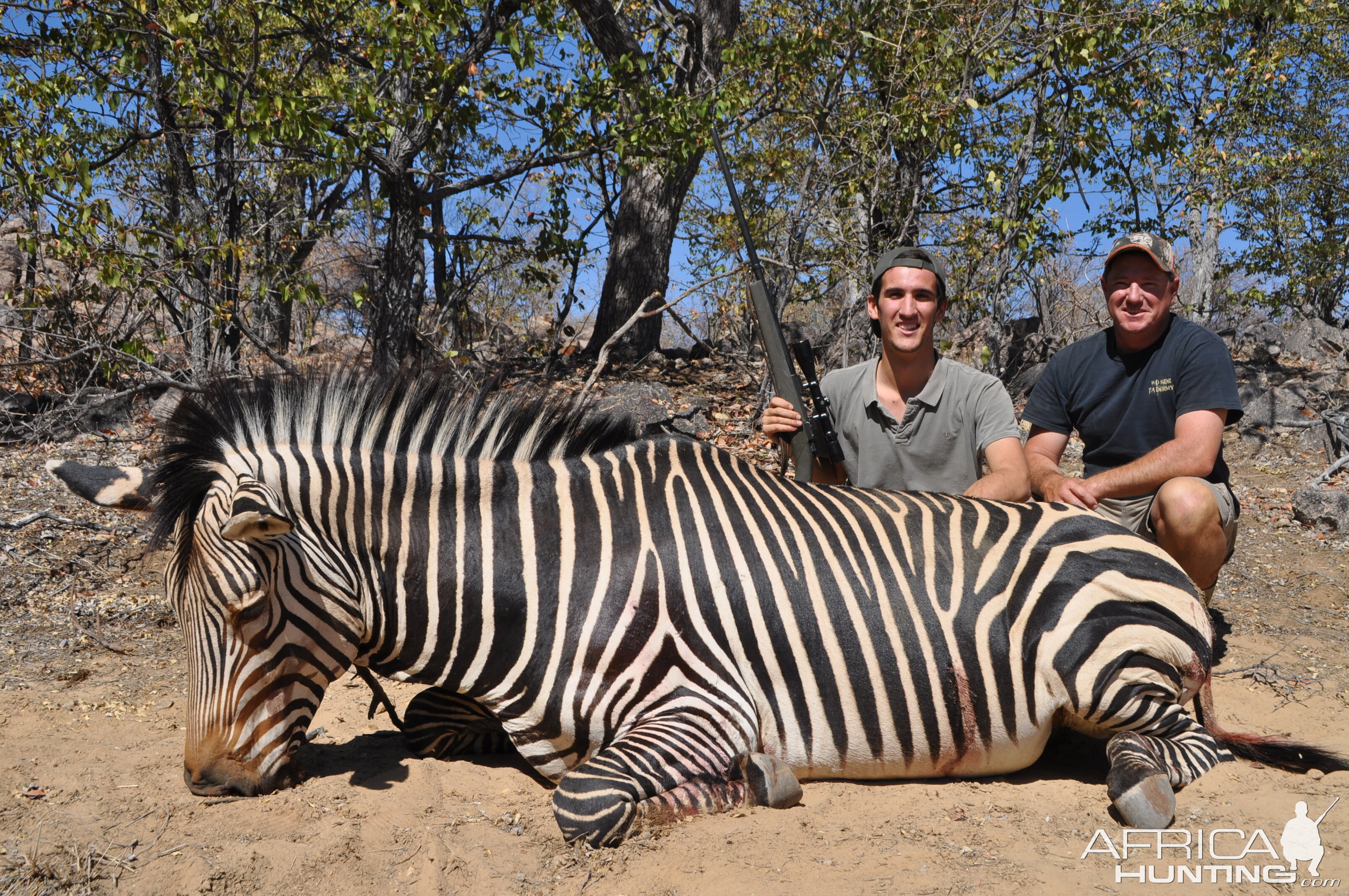 Hartmann's Mountain Zebra Hunt Namibia