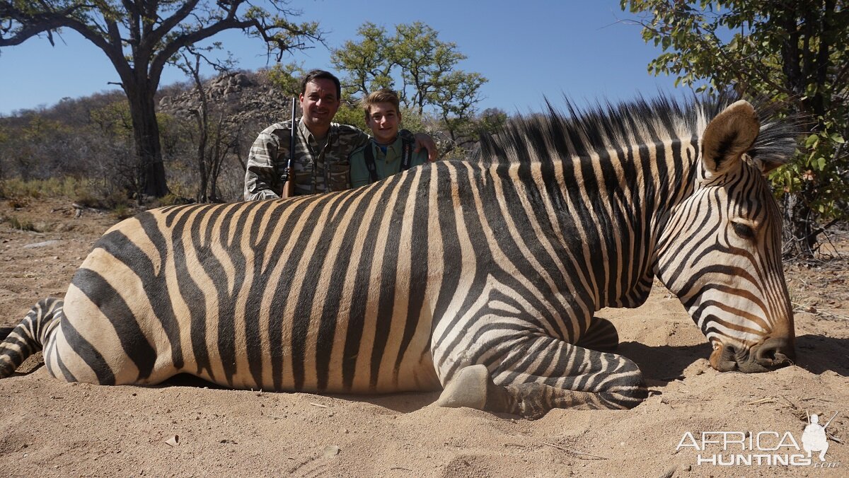 Hartmann's mountain Zebra Hunt Namibia