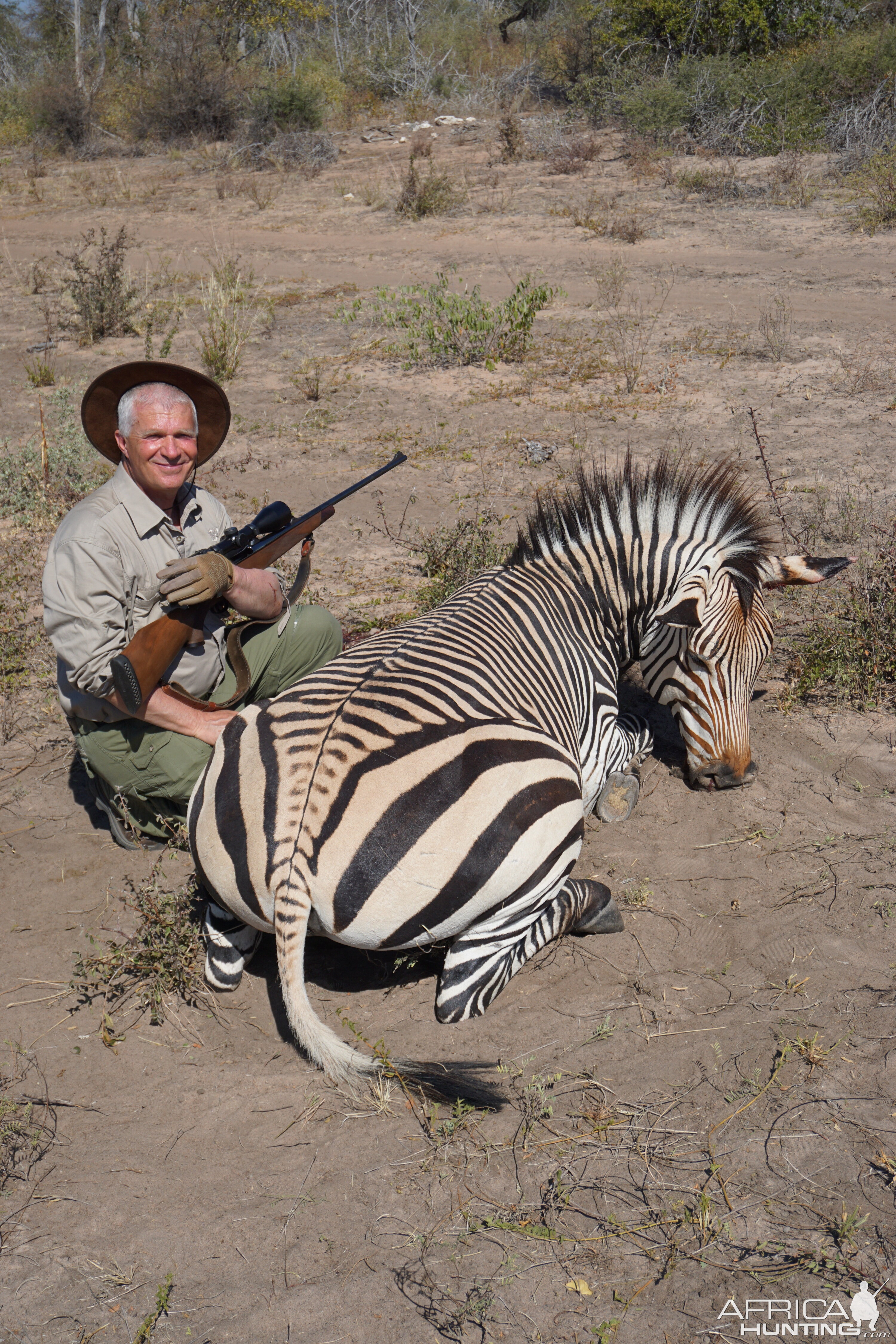 Hartmann's Mountain Zebra Hunt Namibia