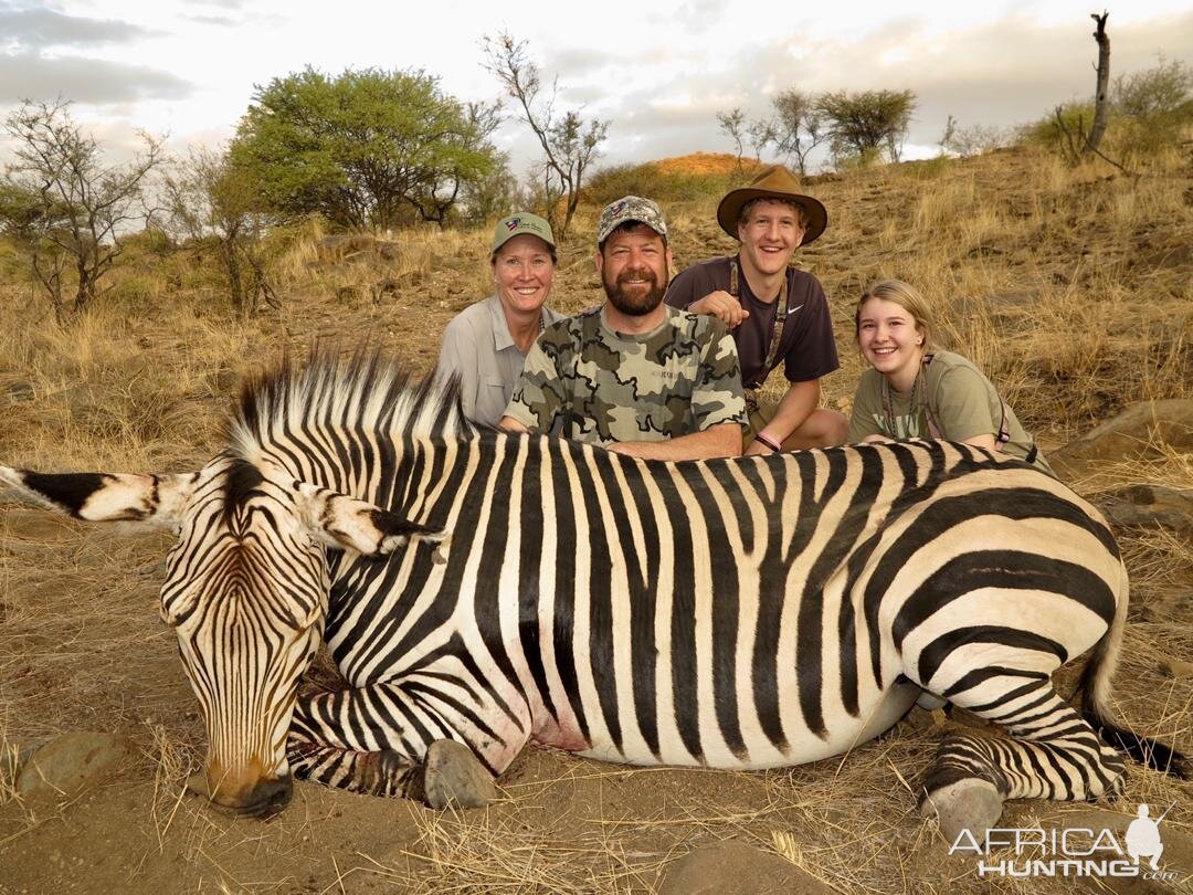 Hartmann's Mountain Zebra Hunting Namibia