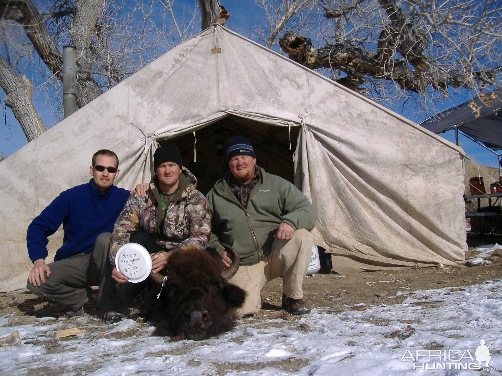 Henry Mountains Bison