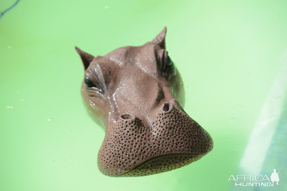 Hippo Floating Target on Hippo hunt shooting range