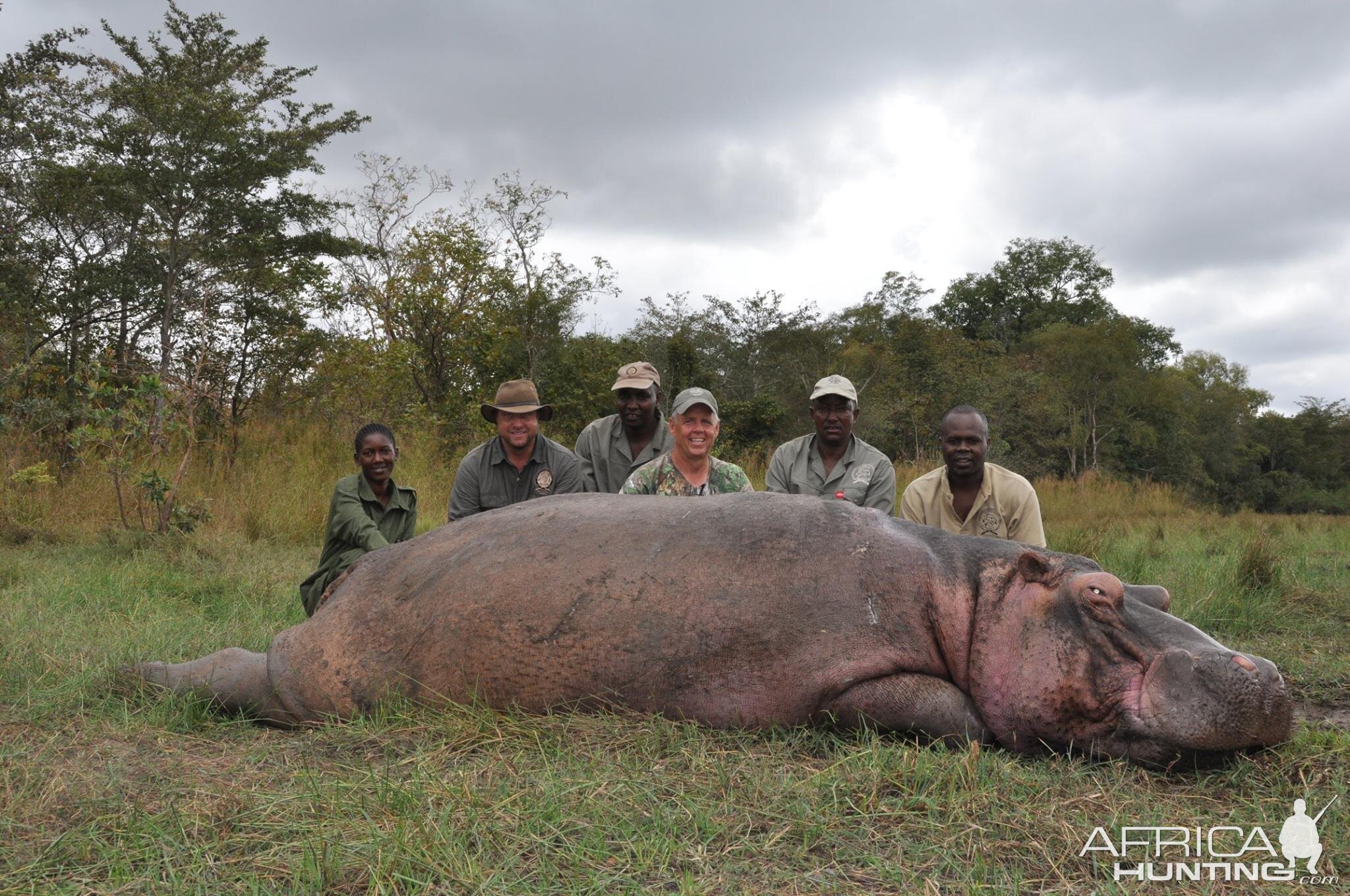 Hippo Hunt In Tanzania