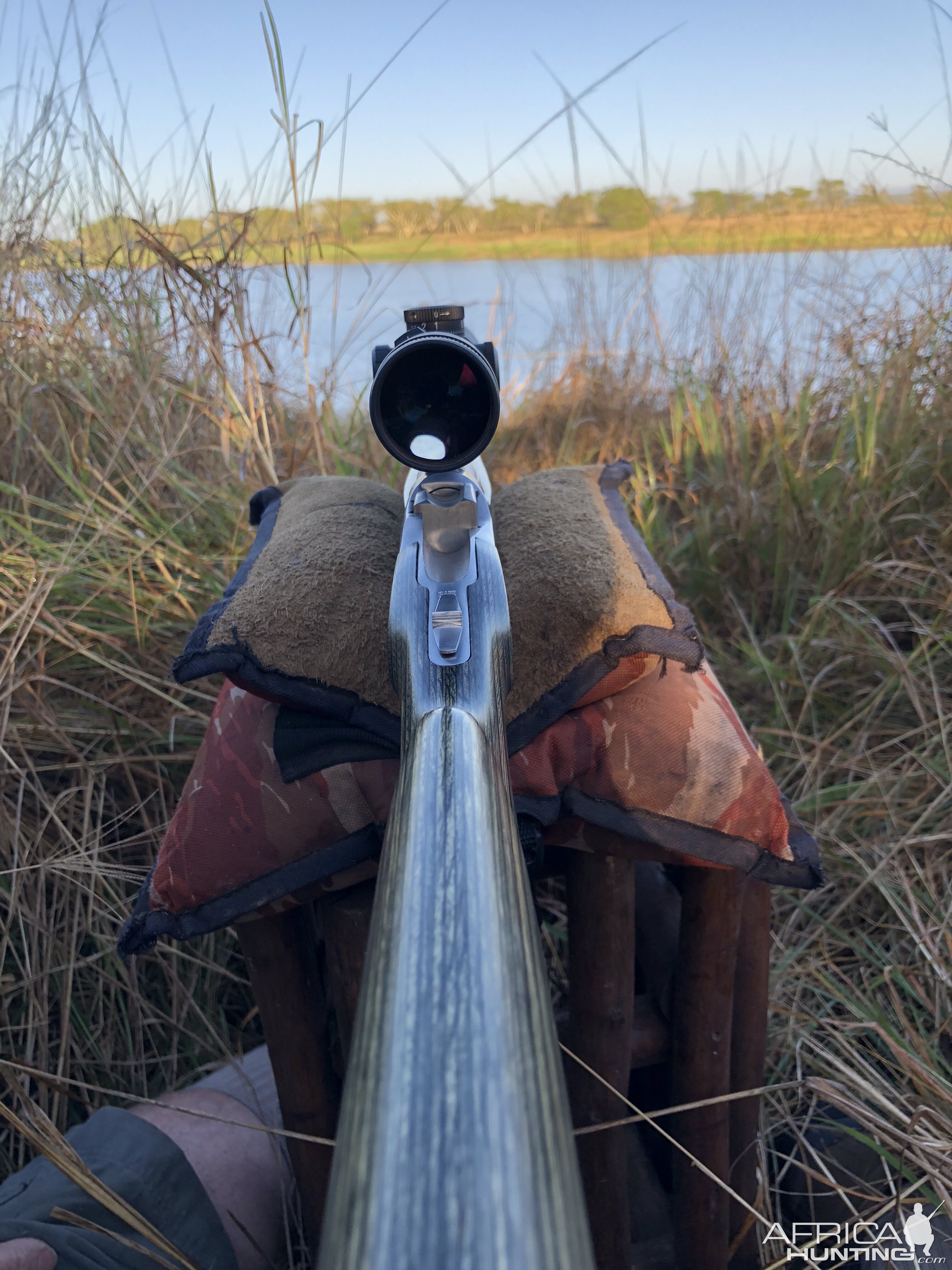 Hippo Hunt South Africa