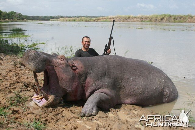 Hippo Hunt Tanzania