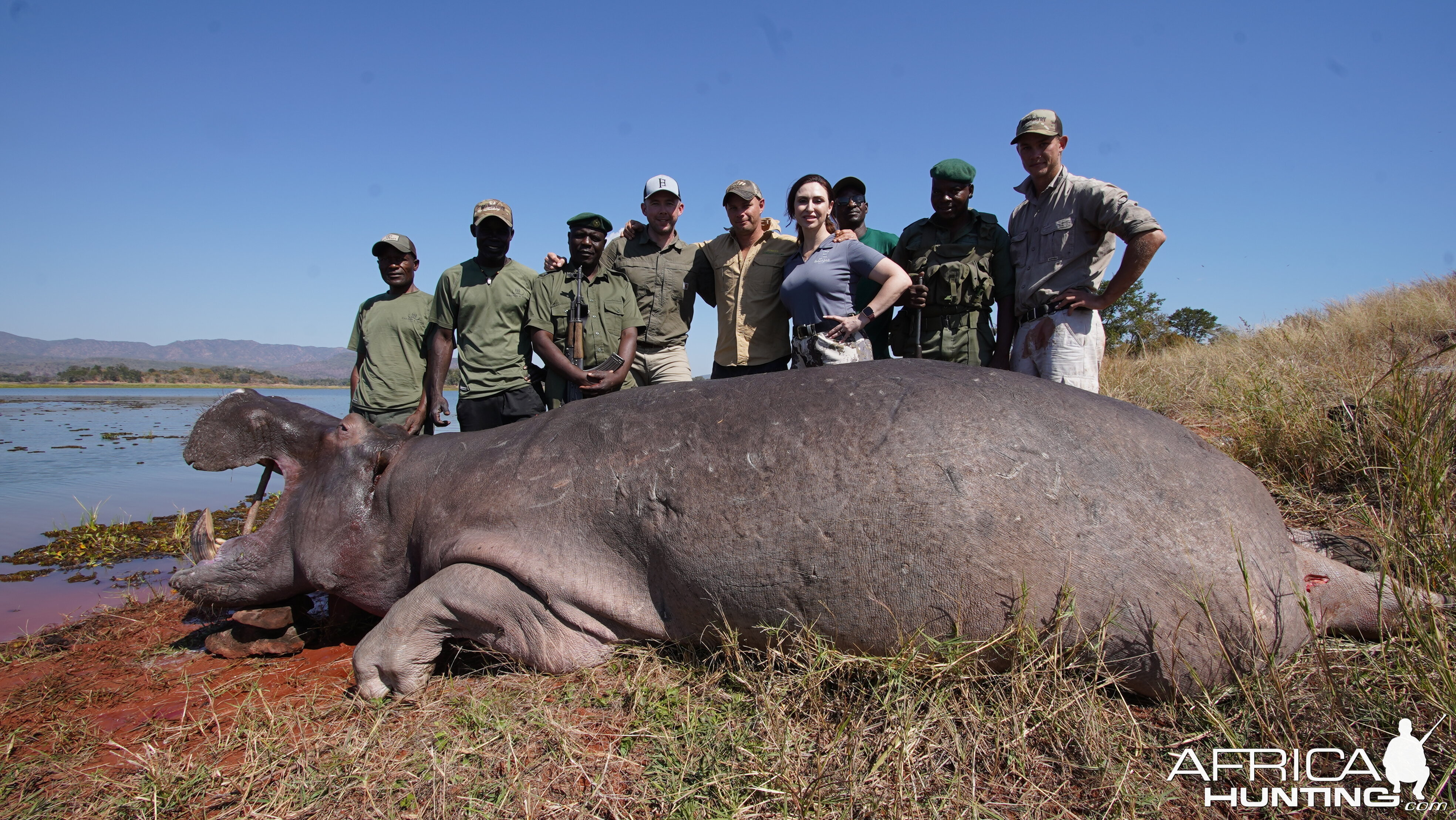 Hippo Hunt Ume River Zimbabwe