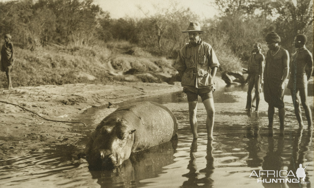 Hippo Hunt