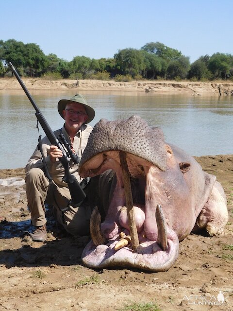 Hippo Hunt