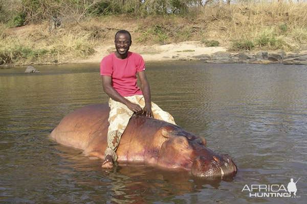 Hippo Hunting Cameroon