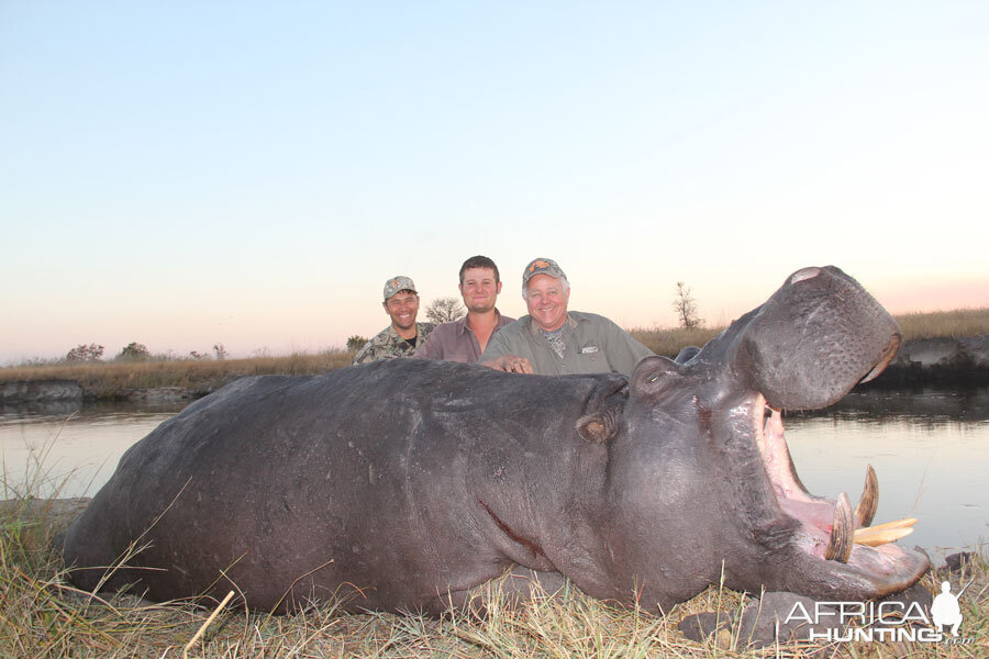 Hippo Hunting Caprivi Namibia