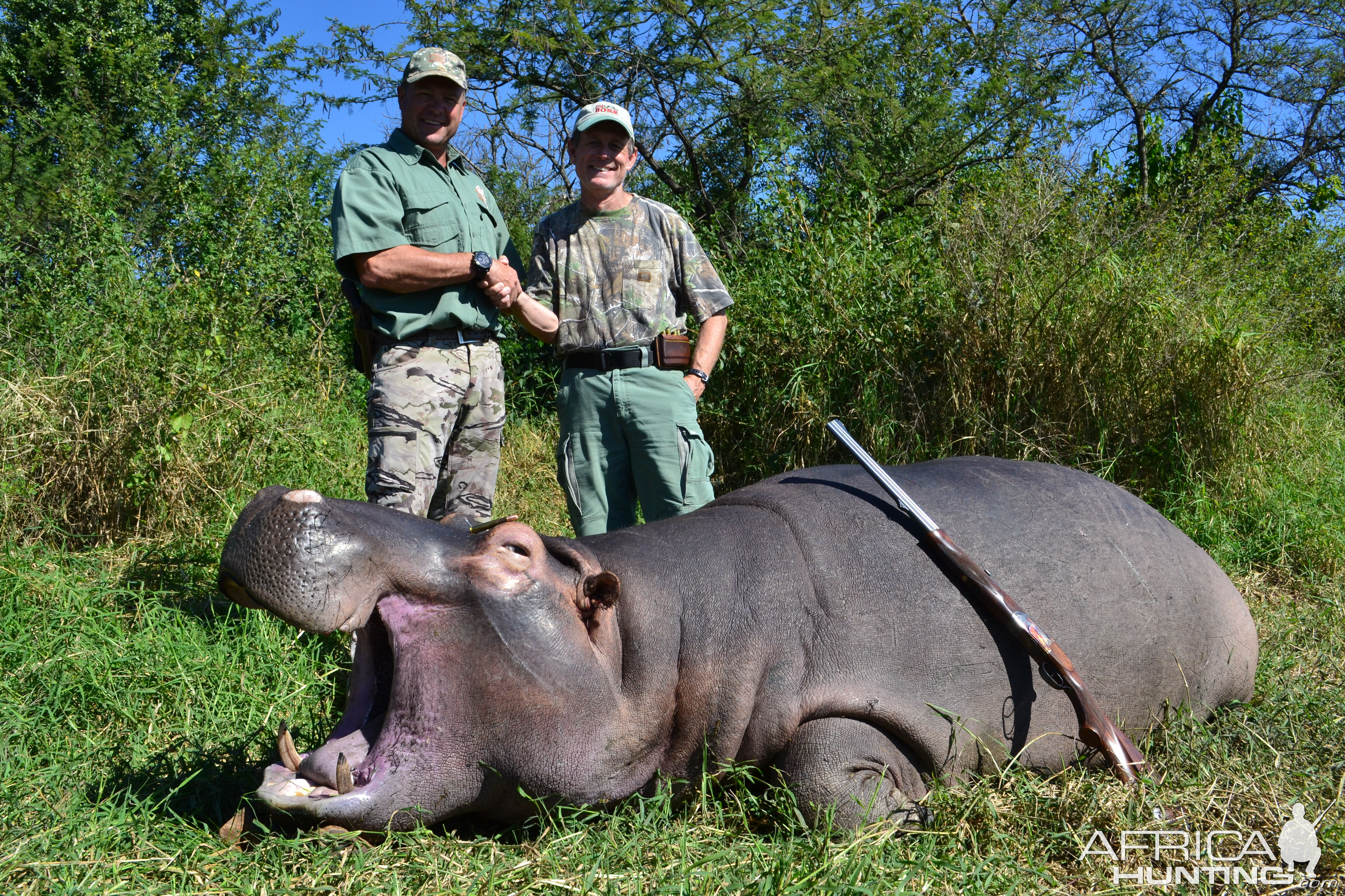 Hippo Hunting in South Africa