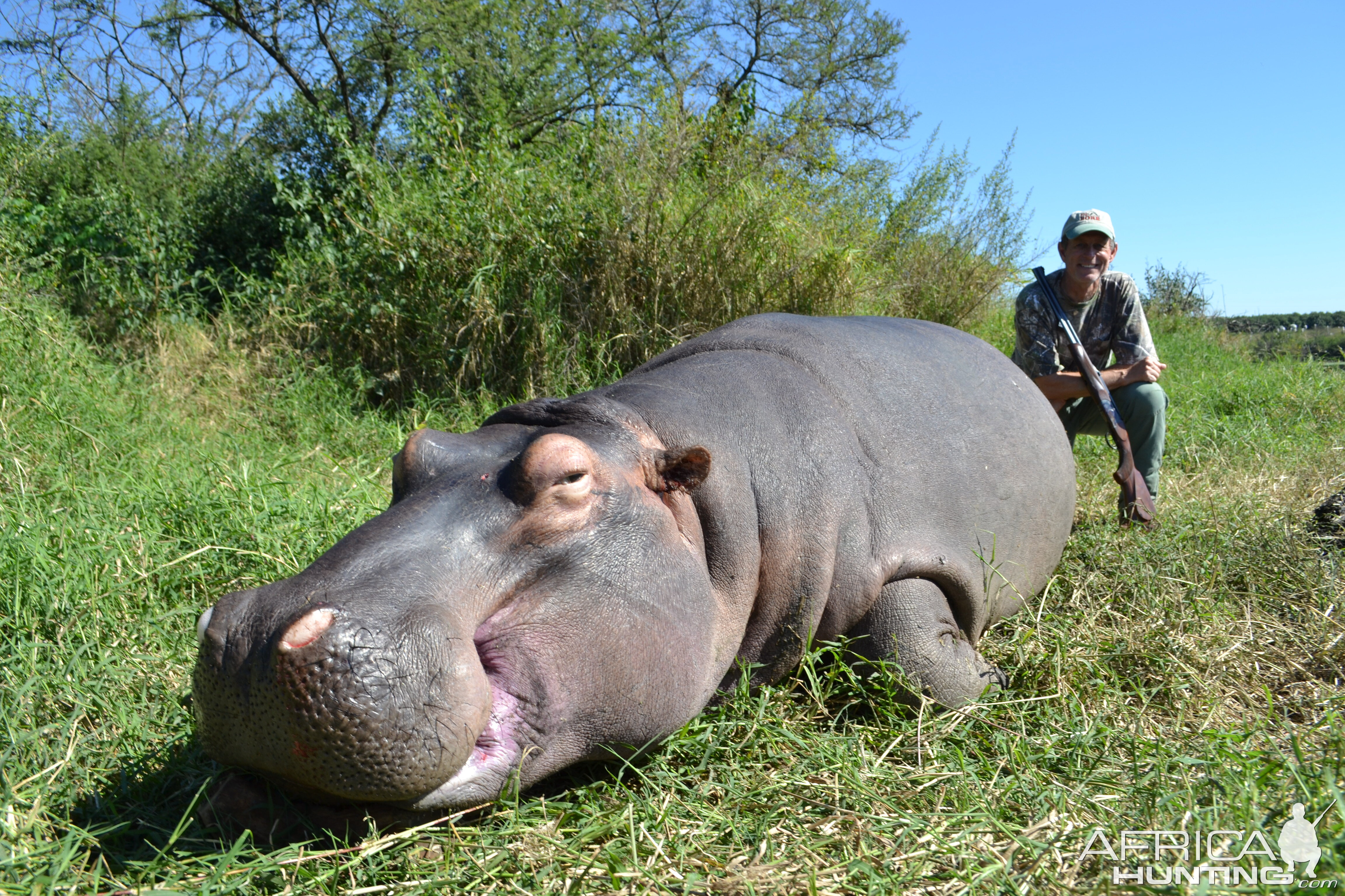 Hippo Hunting in South Africa