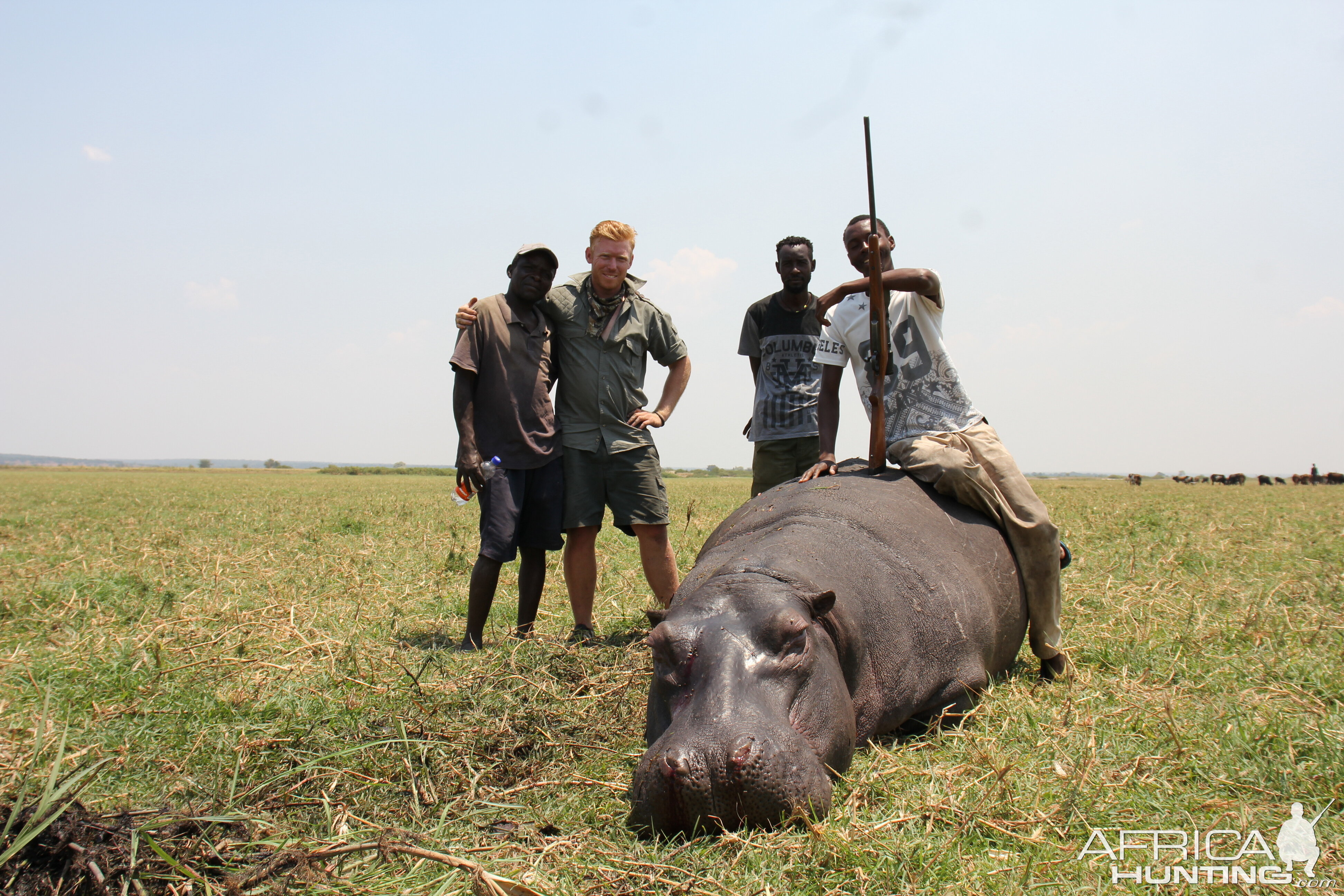 Hippo Hunting Namibia