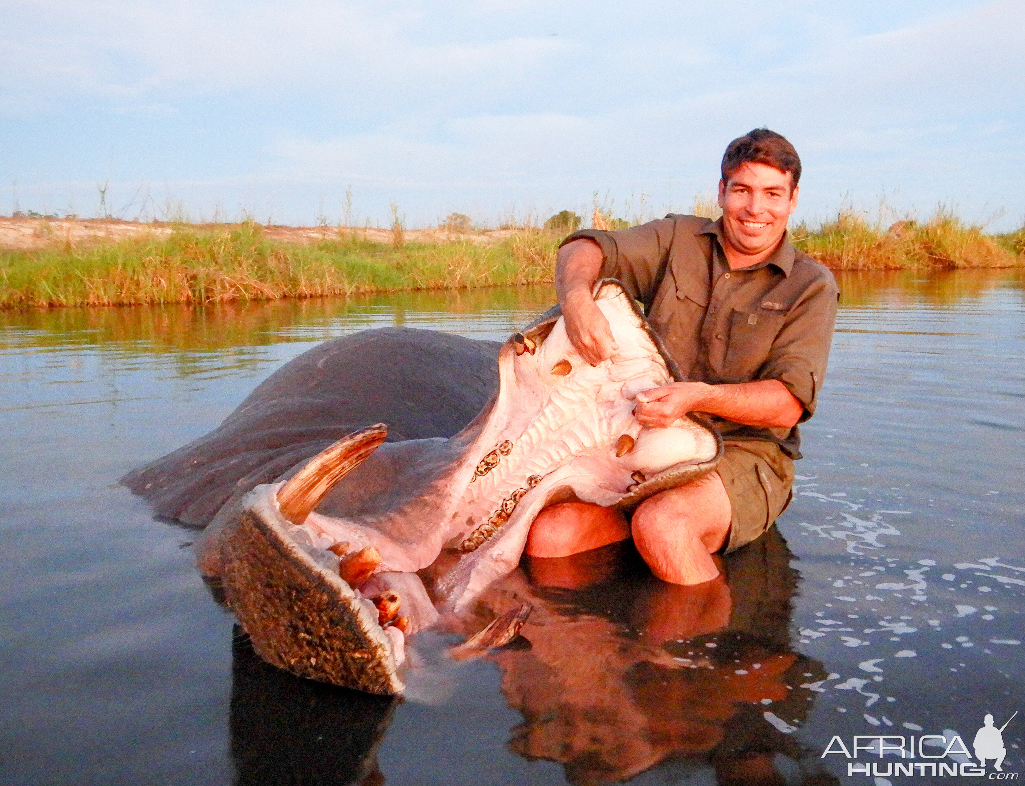 Hippopotamus Hunt Namibia