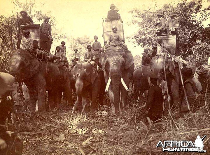 His Imperial Majesty's Shoot, Nepal 1911