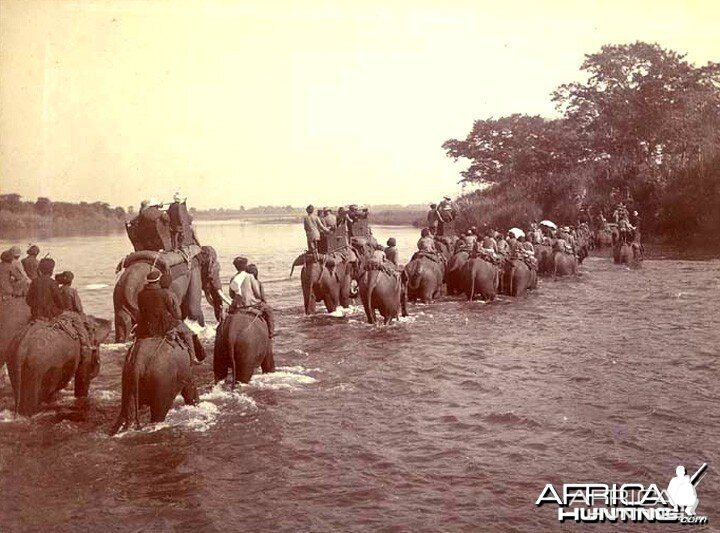 His Imperial Majesty's Shoot, Nepal 1911