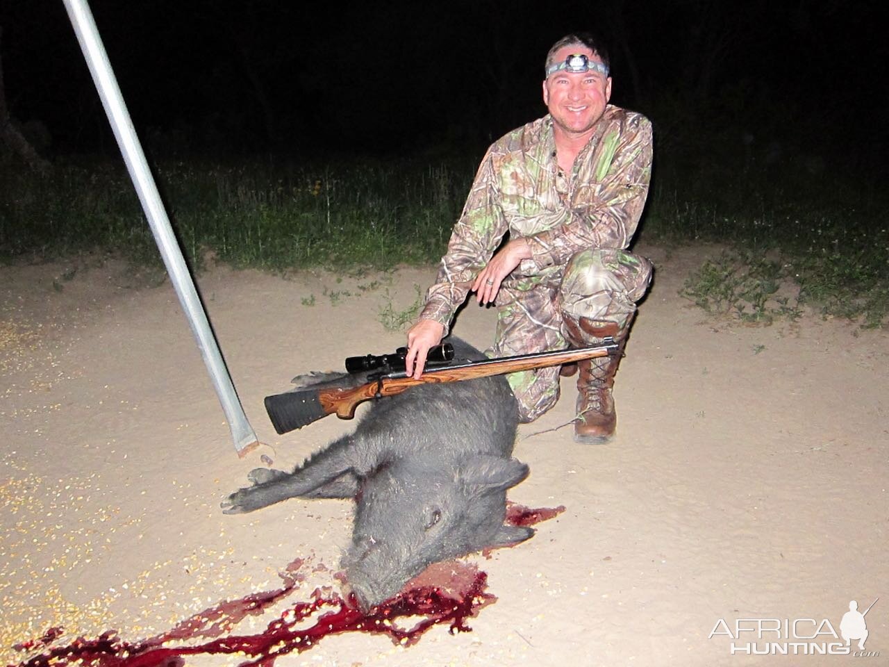 Hog Hunt