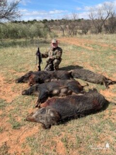 Hog Hunting Texas USA
