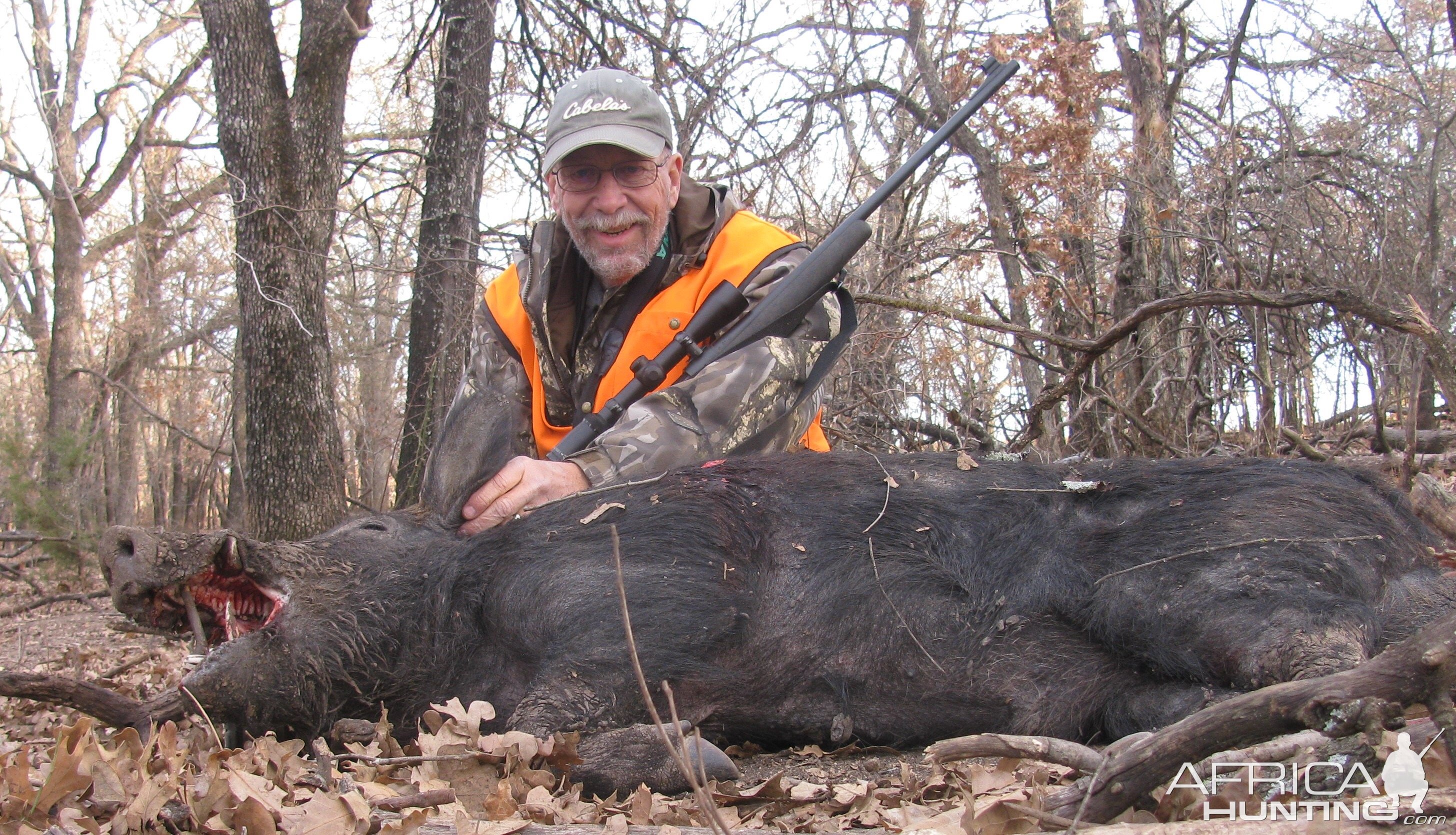 Hog Hunting