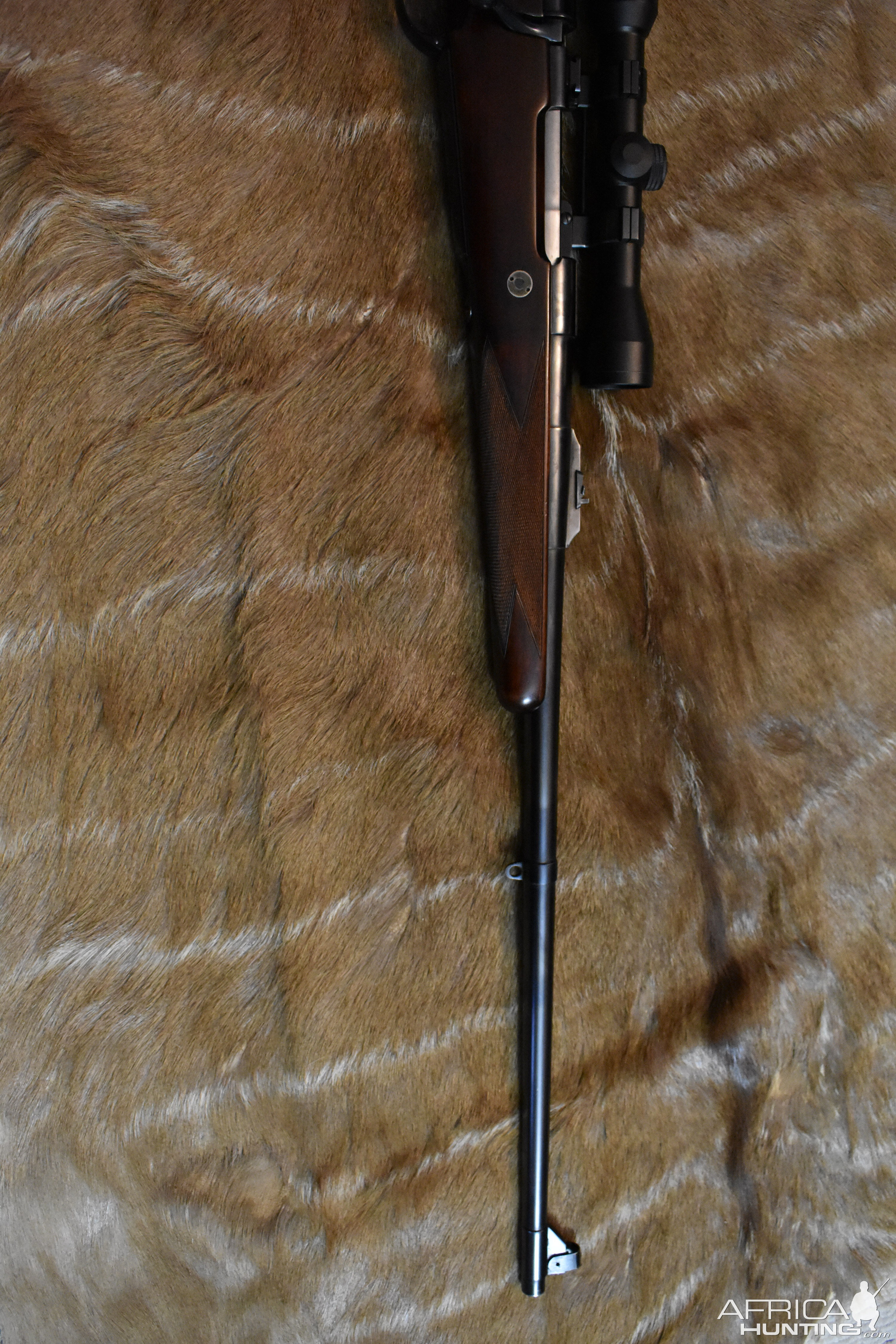 Holland & Holland 375 Magnum Rifle