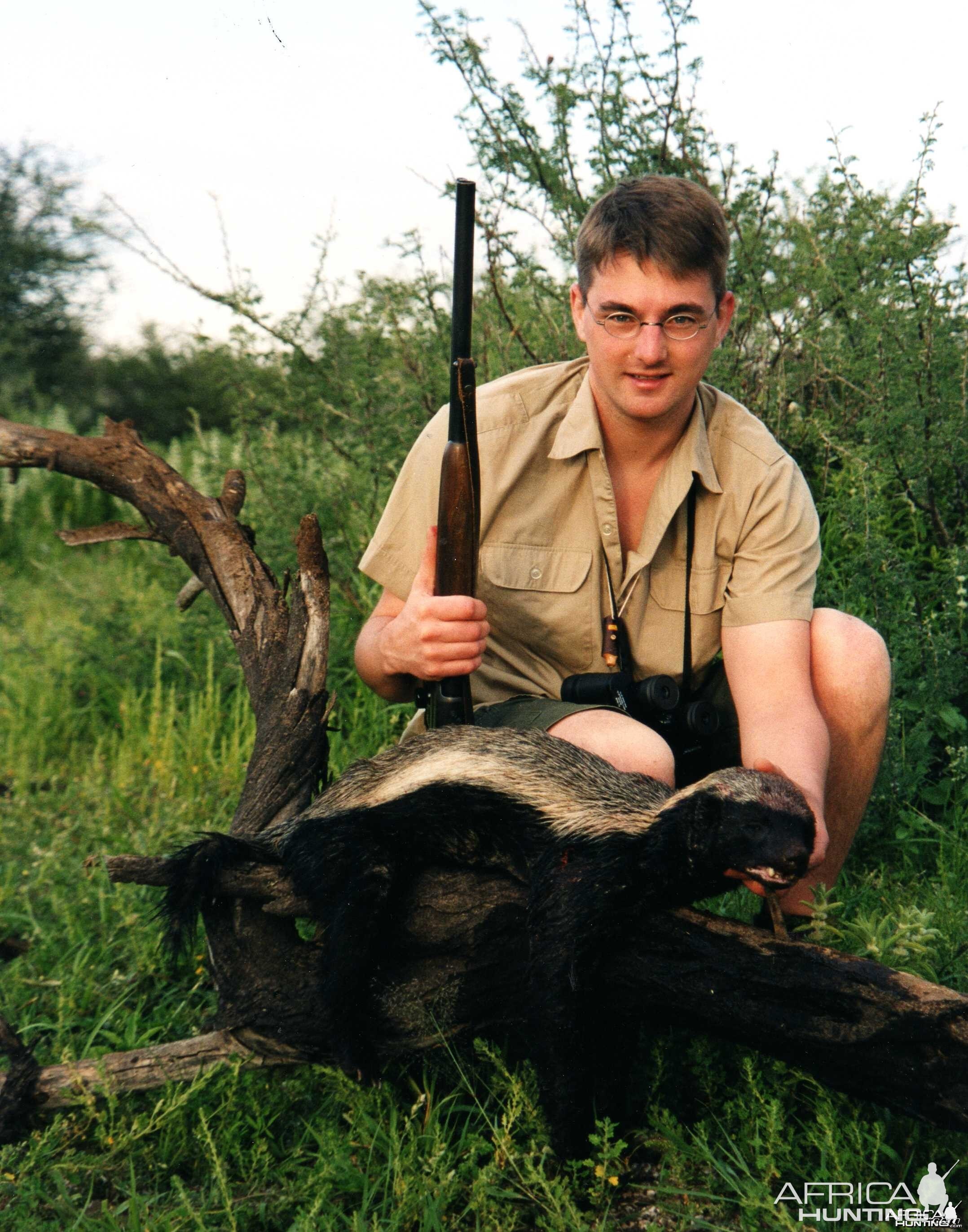 Honey badger, Namibia 2004