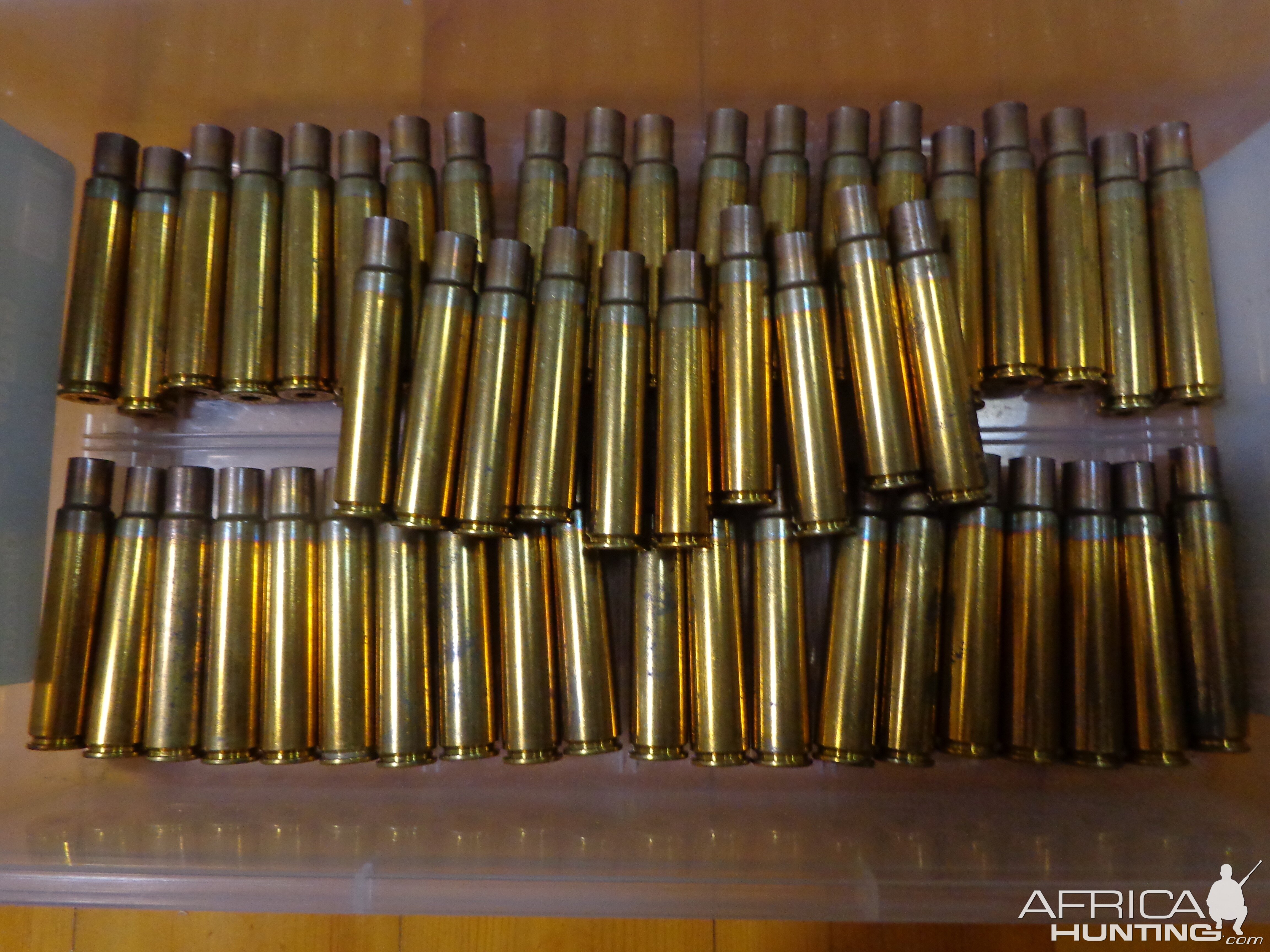 Hornady .416 Rigby Cases