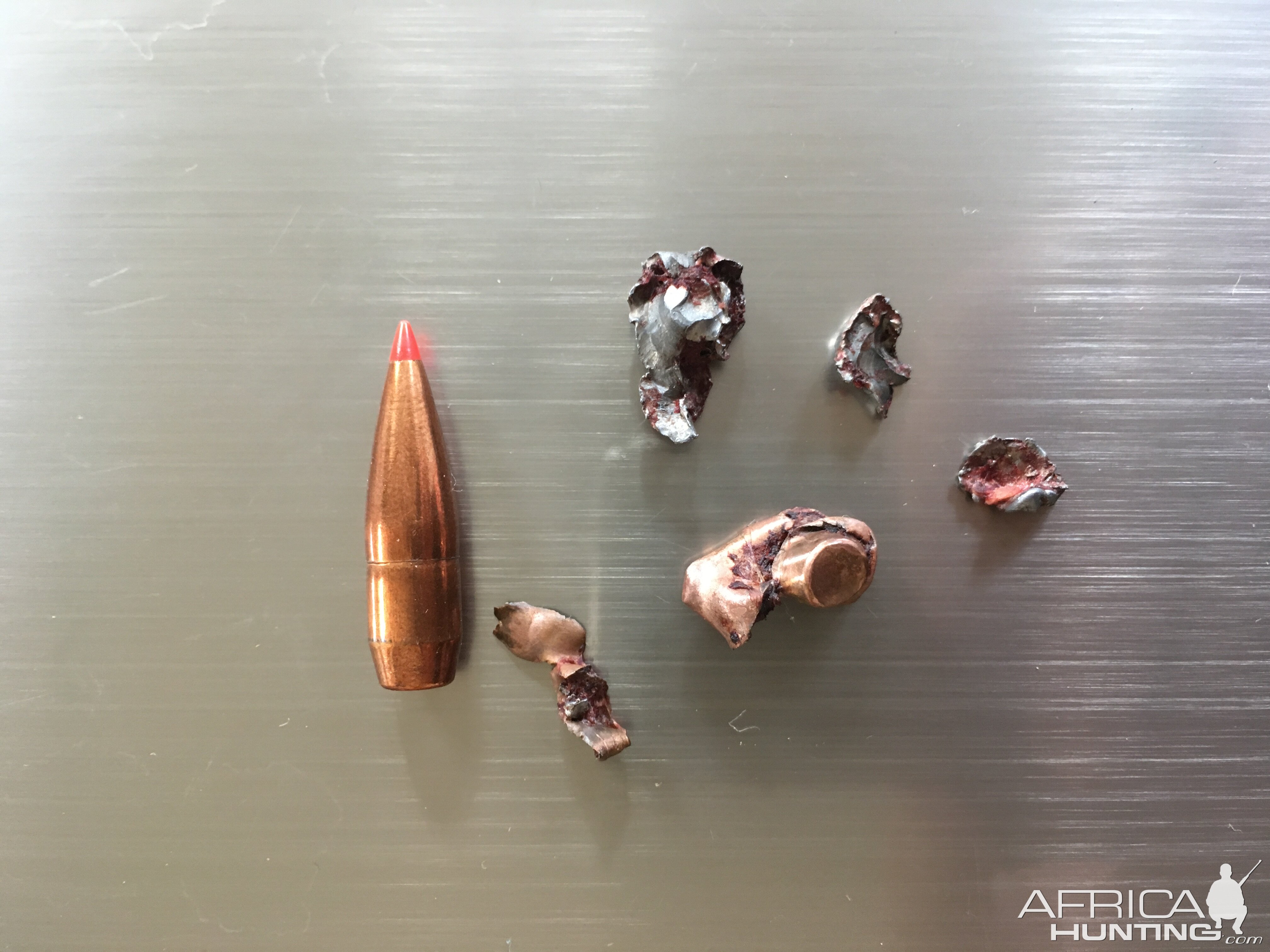 Hornady A-MAX .308 Win. Bullet Performance