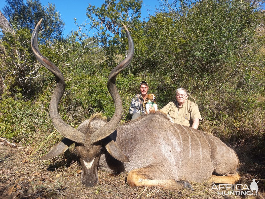 Huge Kudu Bull Hunt Eastern Cape South Africa