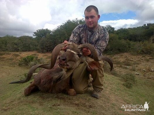 Hundting South Africa Deformed Kudu