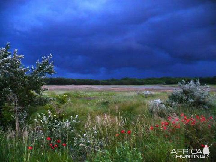 Hungary before a storm