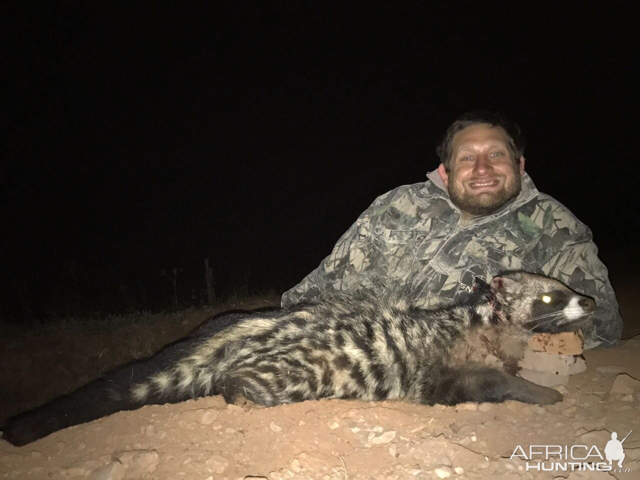 Hunt African Civet Cat South Africa